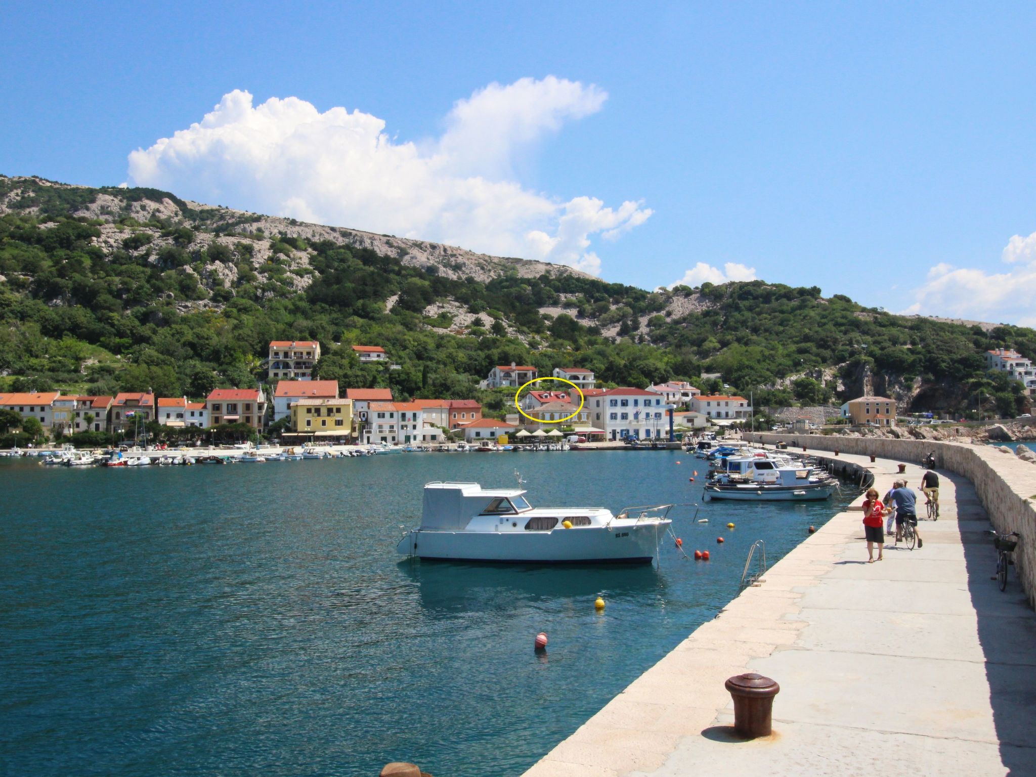 C. Silvija Senj-Inside