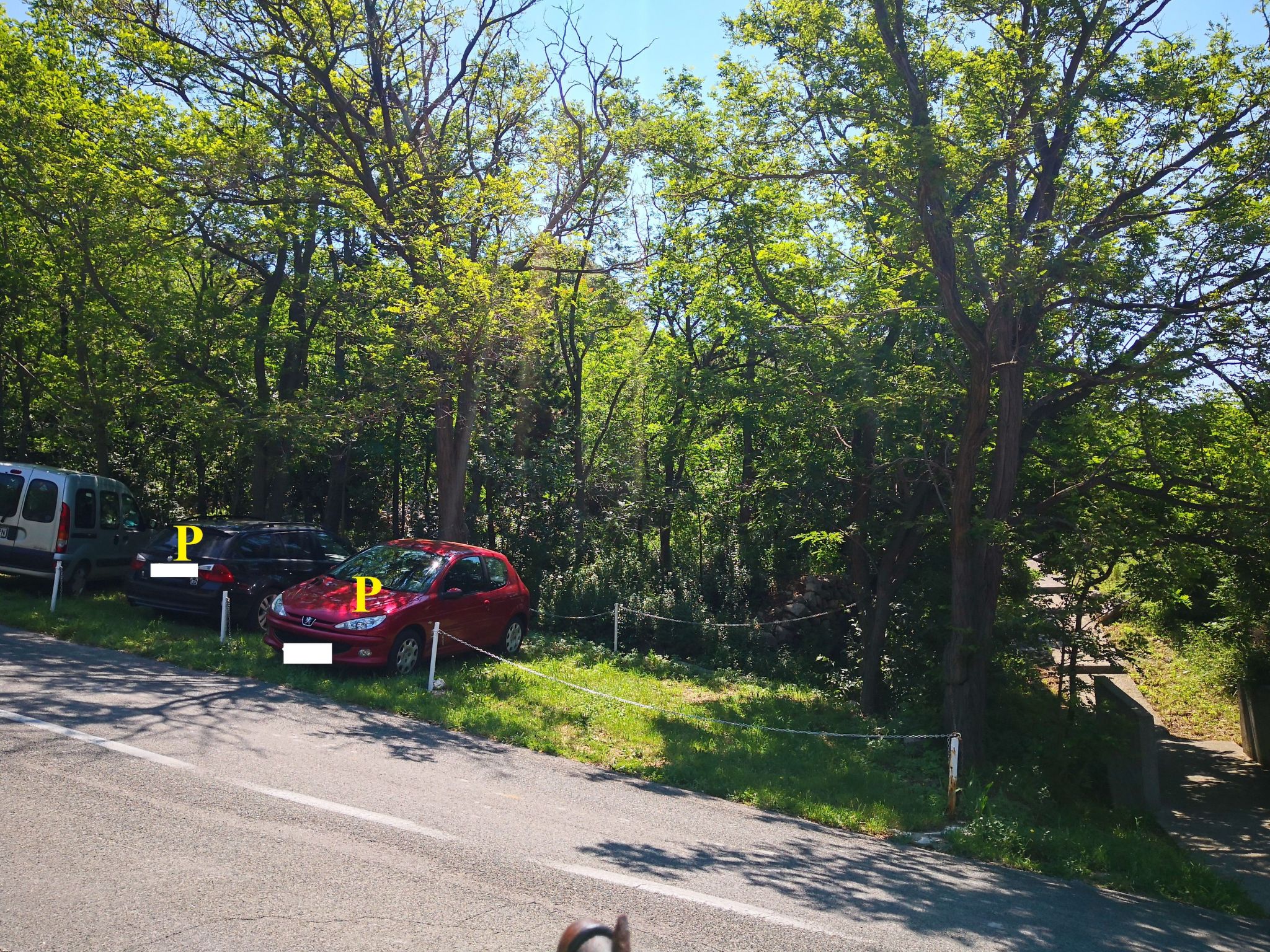 C. Silvija Senj-Inside