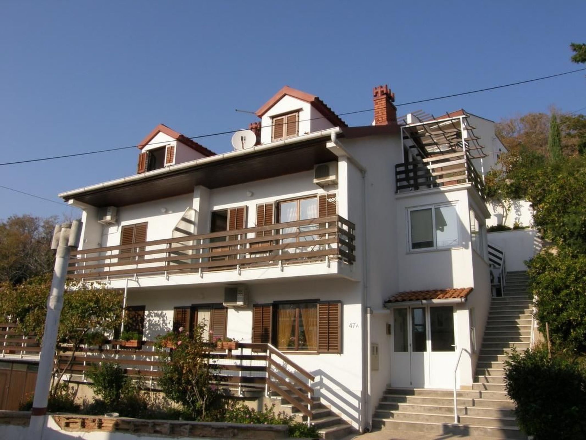 Photo of C. Silvija Senj