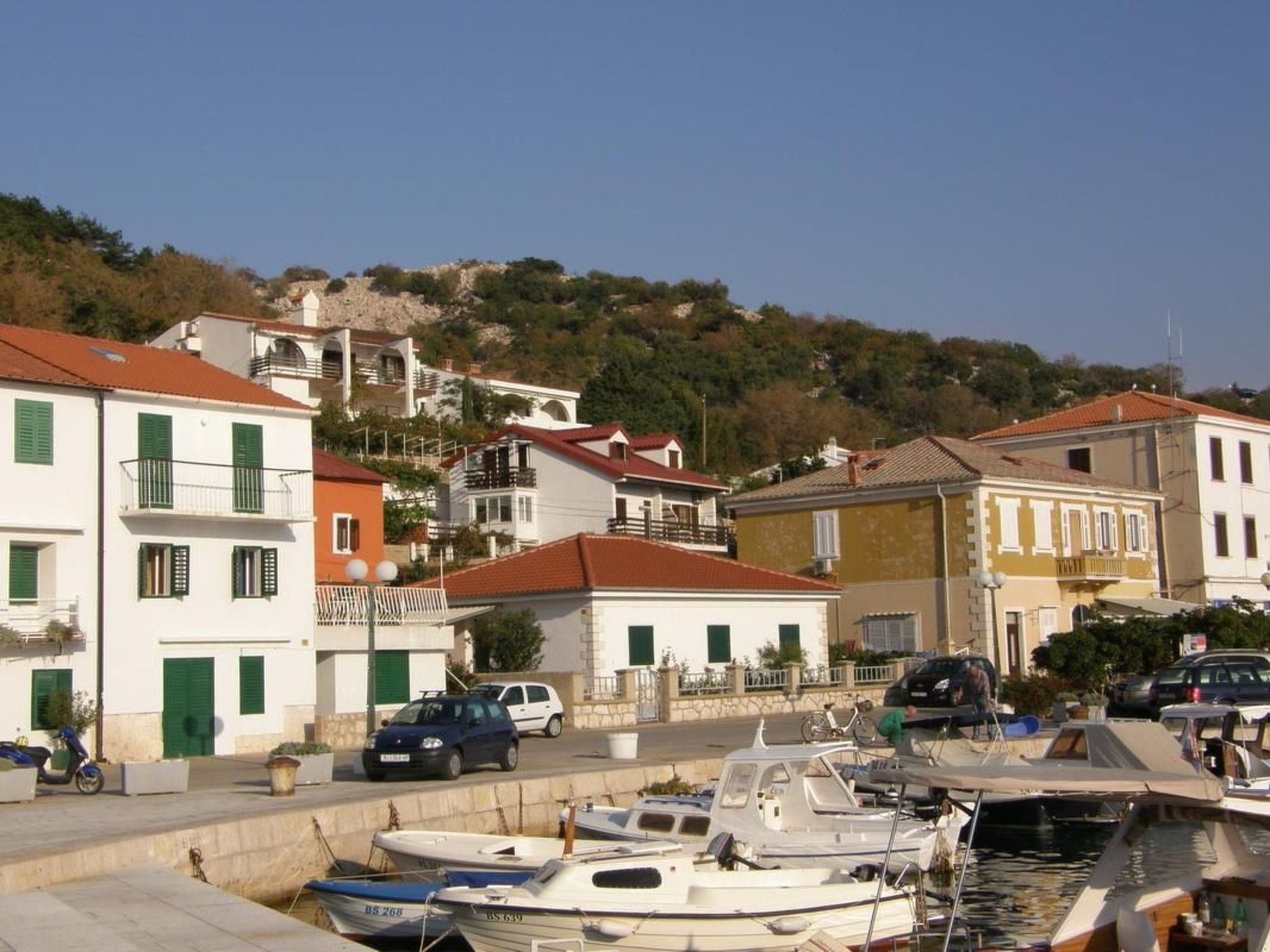 Photo of C. Silvija Senj