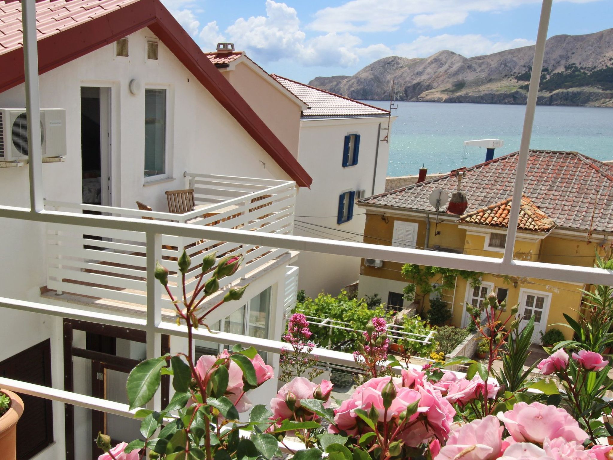 C. Silvija Bs-Drinnen