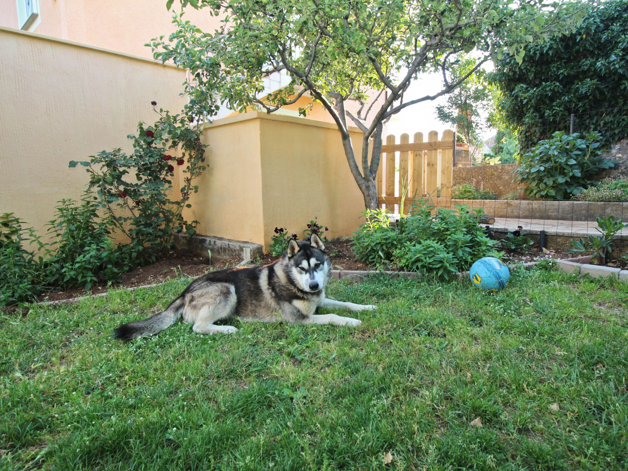 Apartment TOP 2-Inside