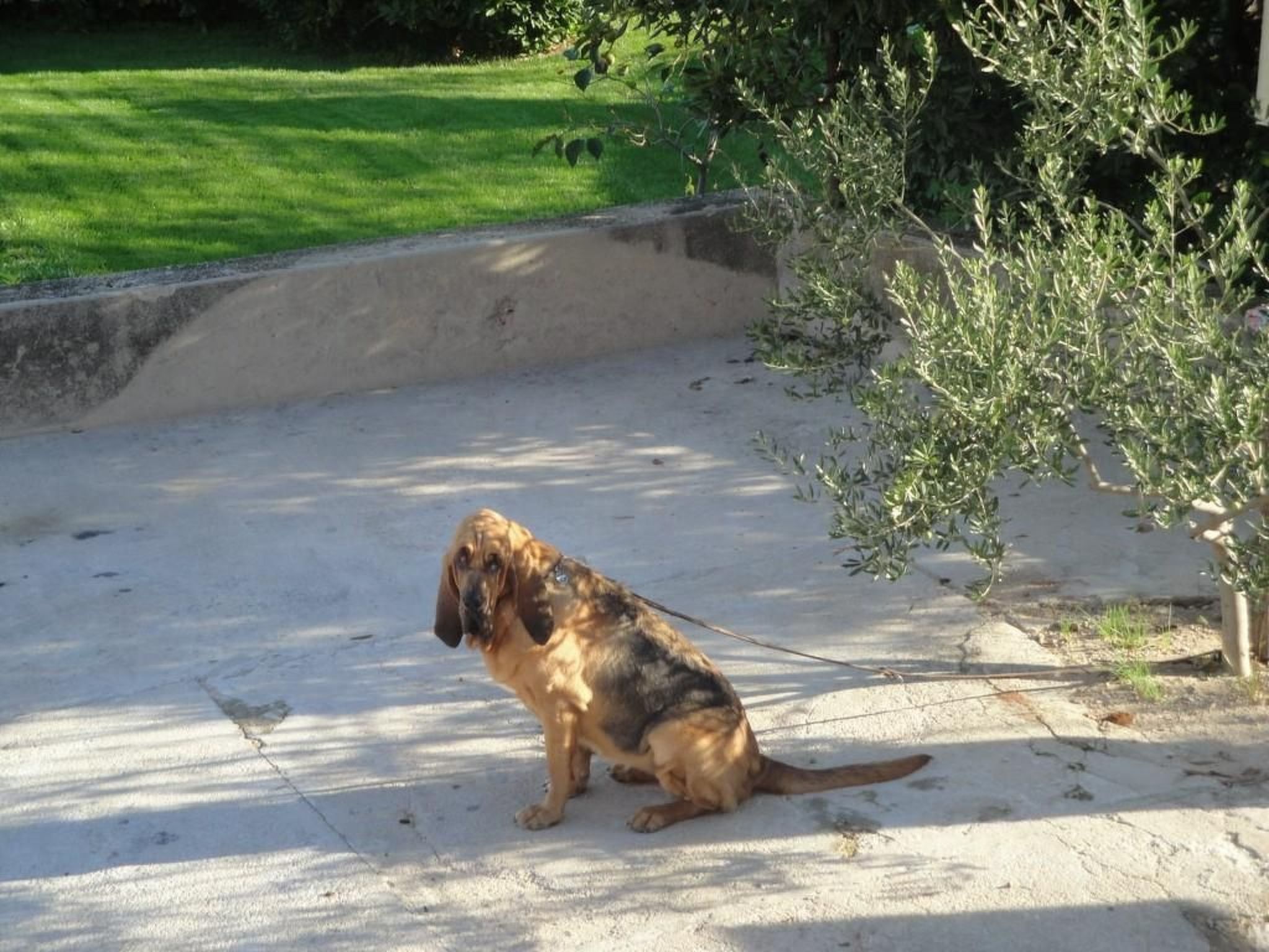 Apartment TOP 2-Inside