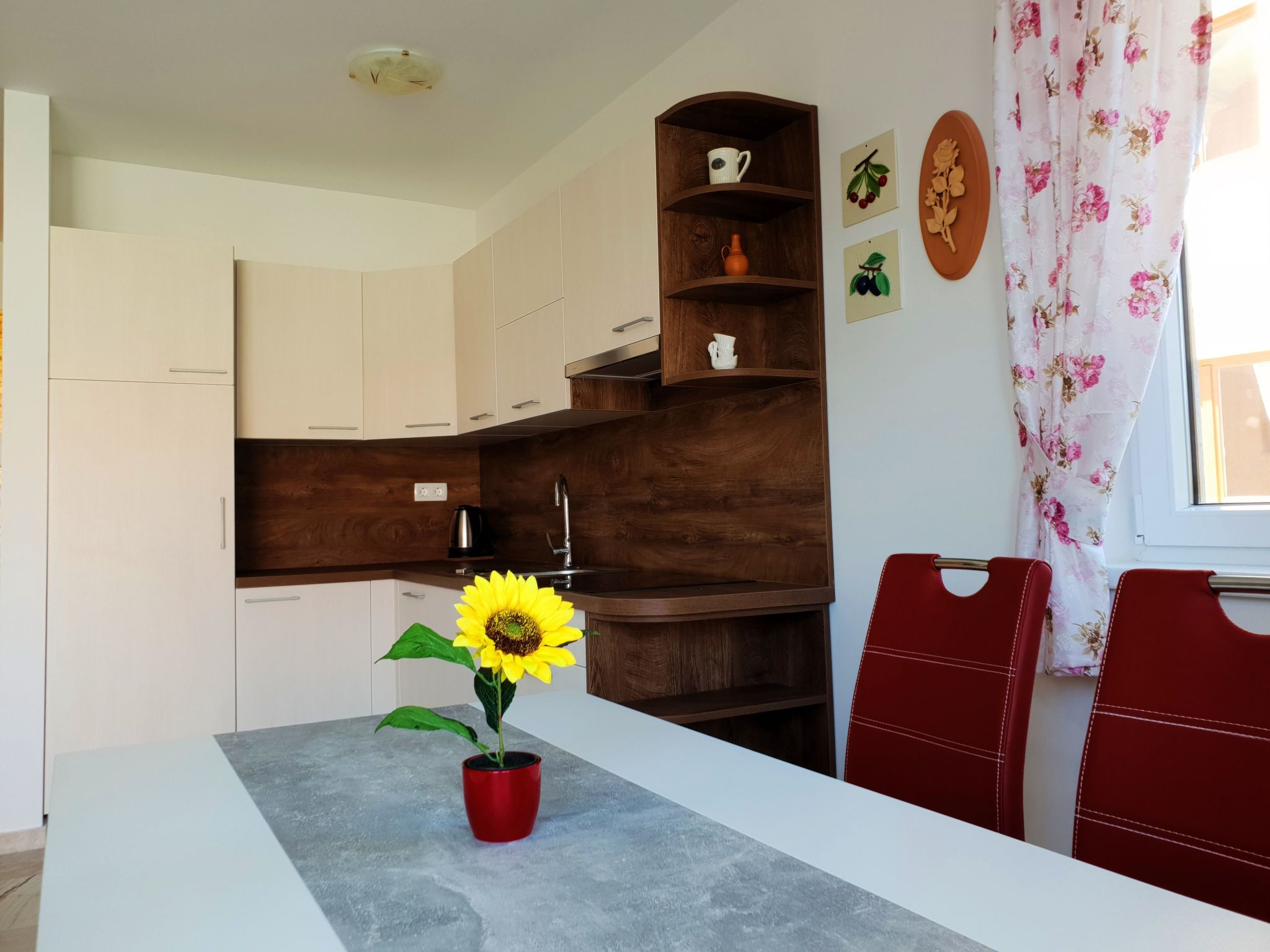 Apartment Branka-Drinnen