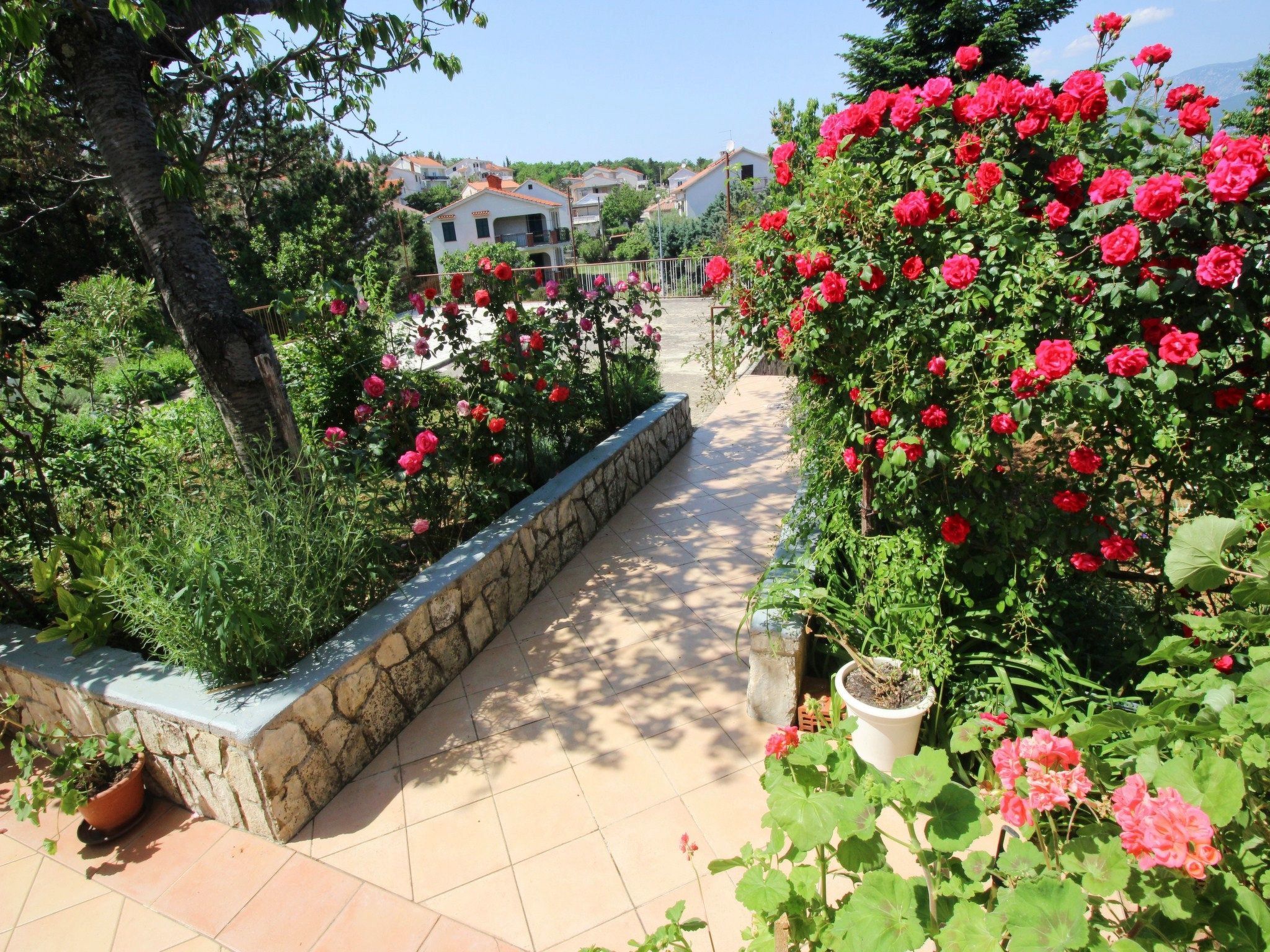 Apartment Dragica-Binnen