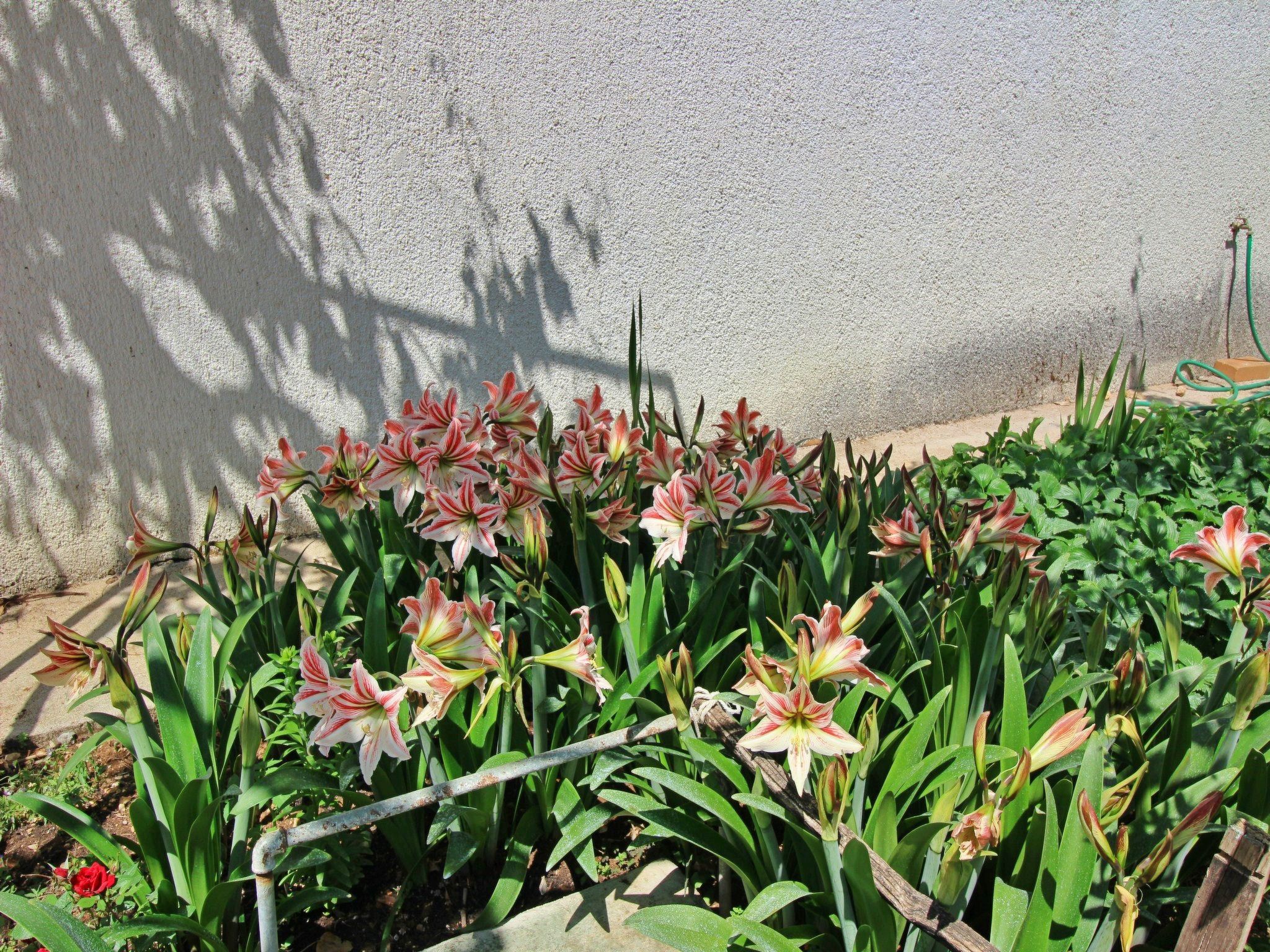 Apartment Dragica-Binnen