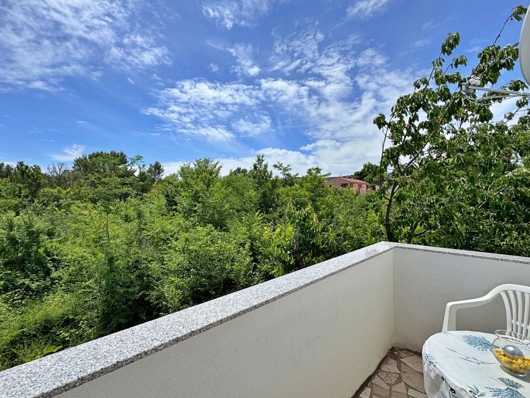 Apartment Nikolic-Binnen