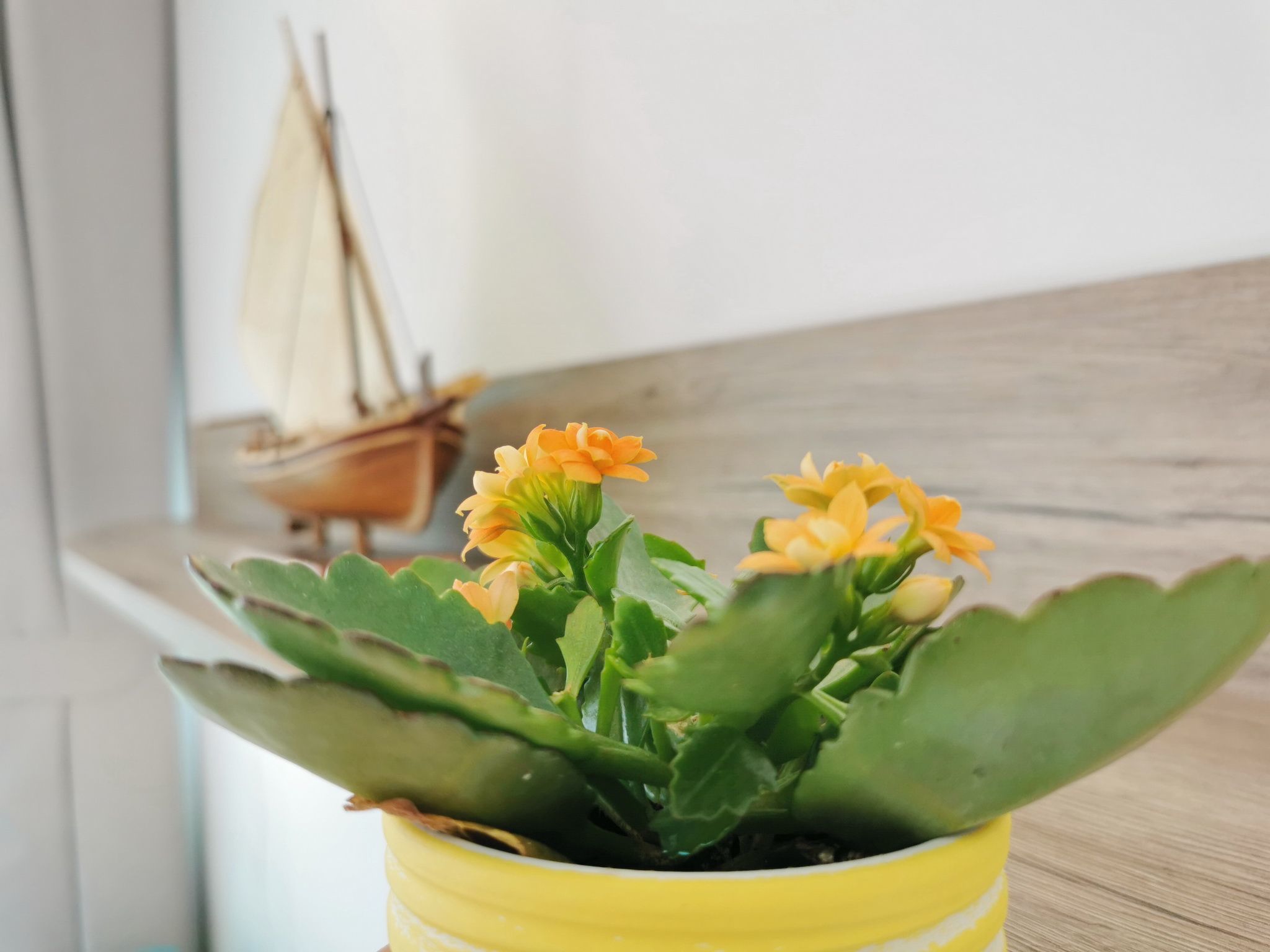 Studio Glorijeta-Binnen