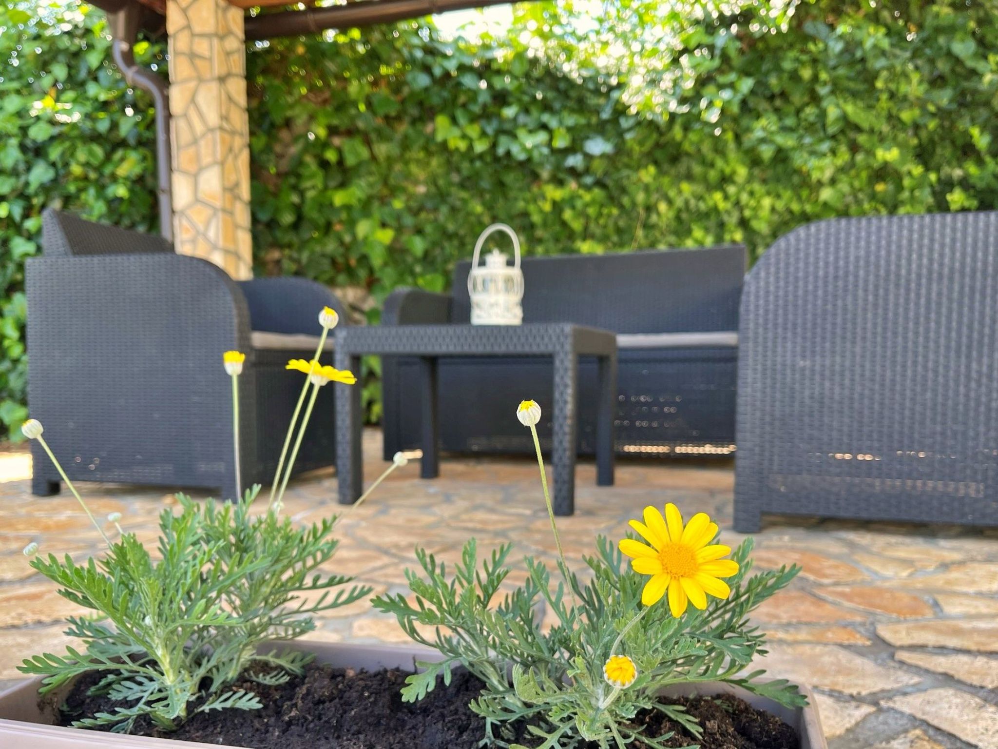 Apartment TOP 1-Inside