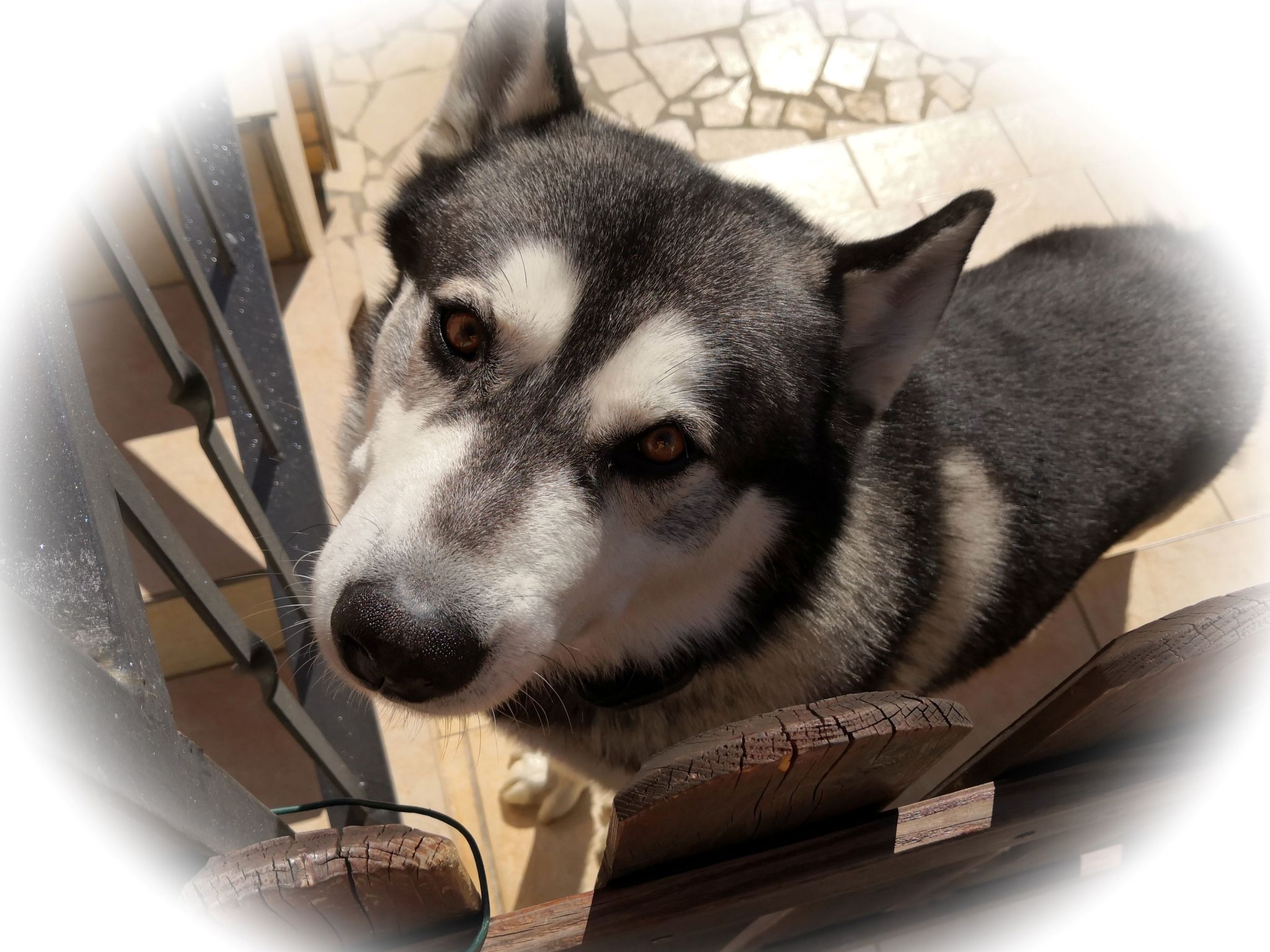 Apartment TOP 1-Inside