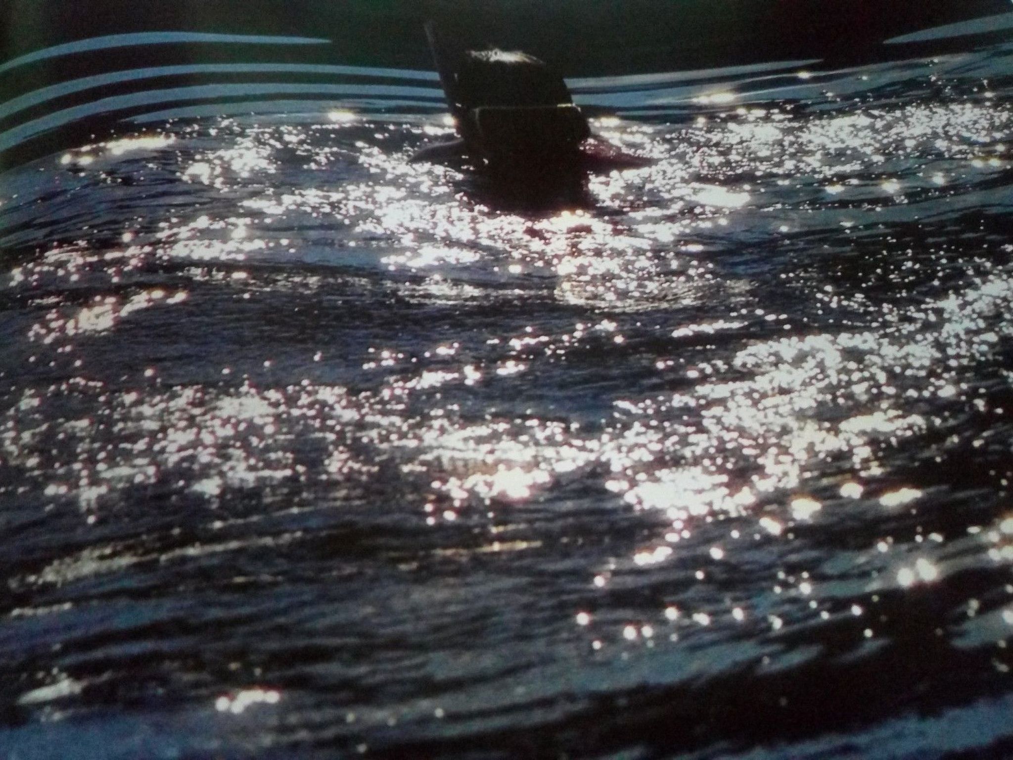 Apartment TOP 3-Binnen