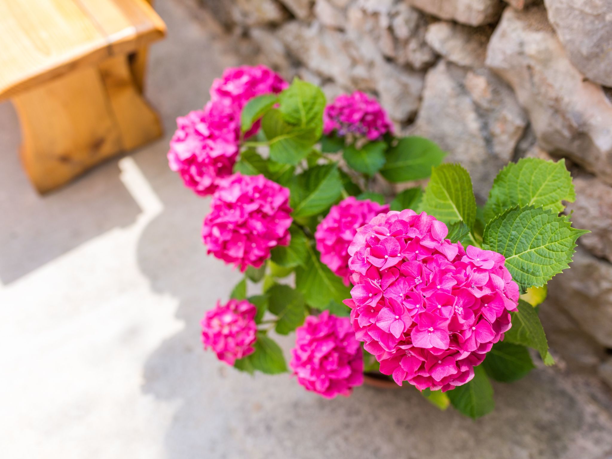 Gemütliches Steinhaus Nonna Stara-Binnen