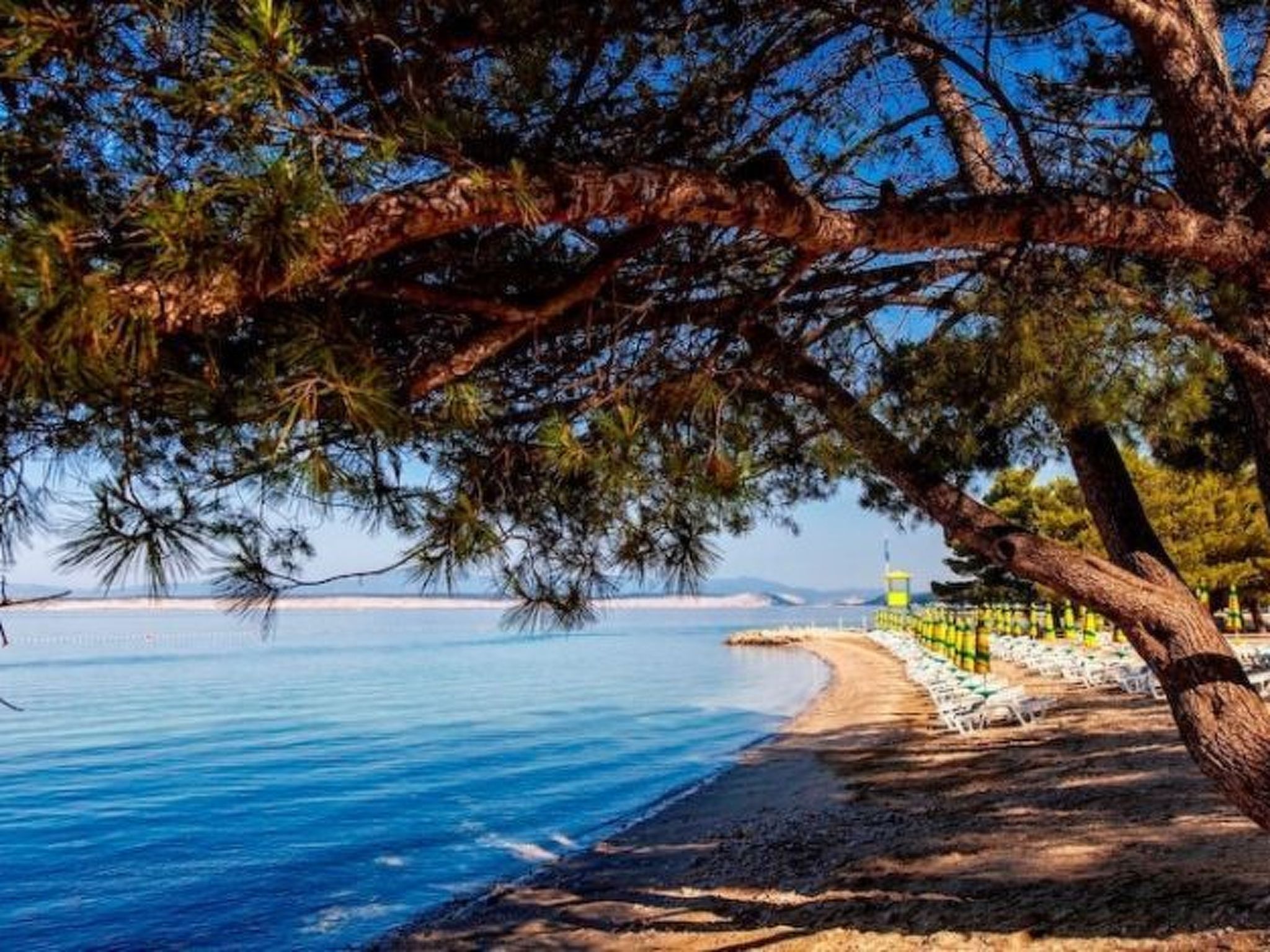 Wohnung 100m vom Strand entfernt-Dedans