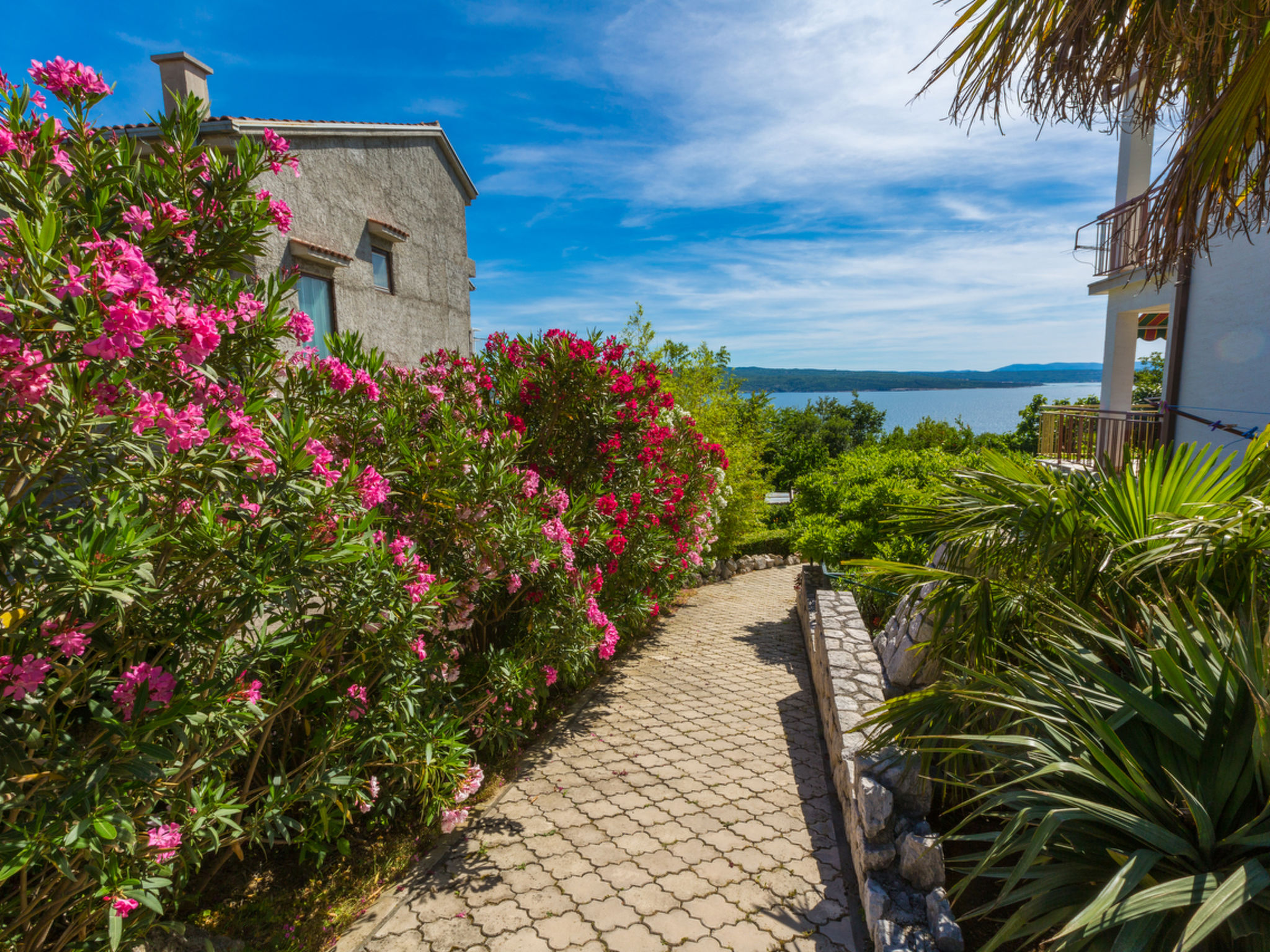 Photo of NELLA 2 / HR-01829-02