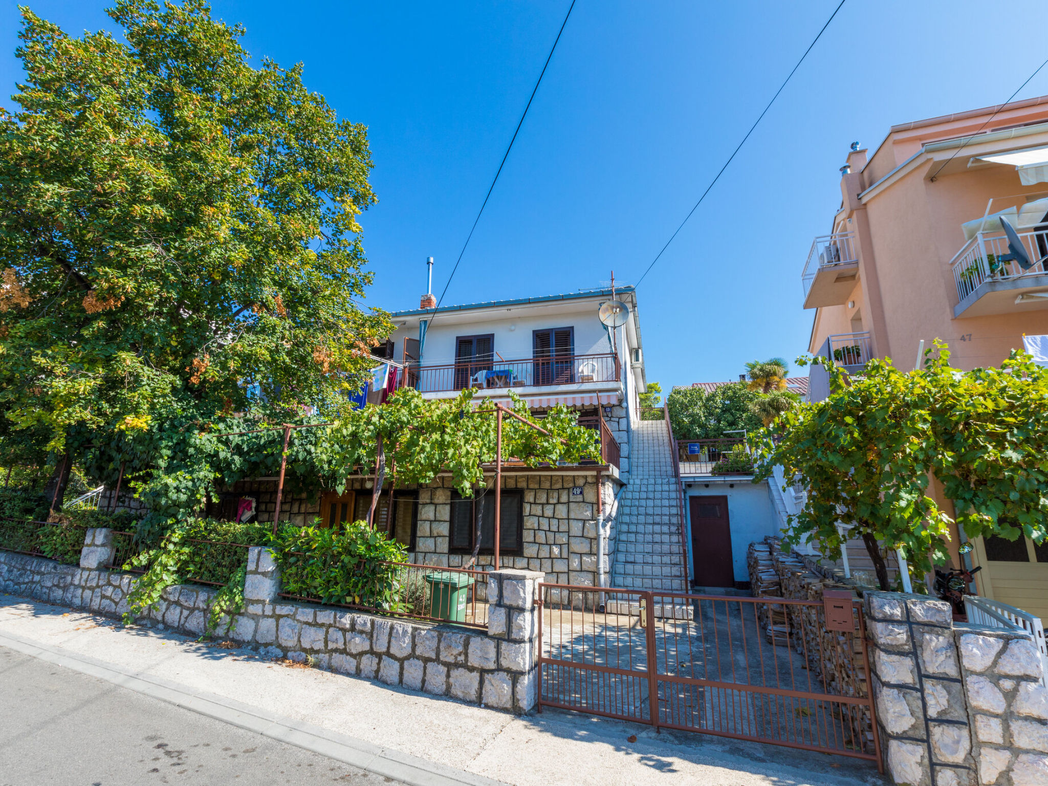 Photo of Renata / HR-08888-01