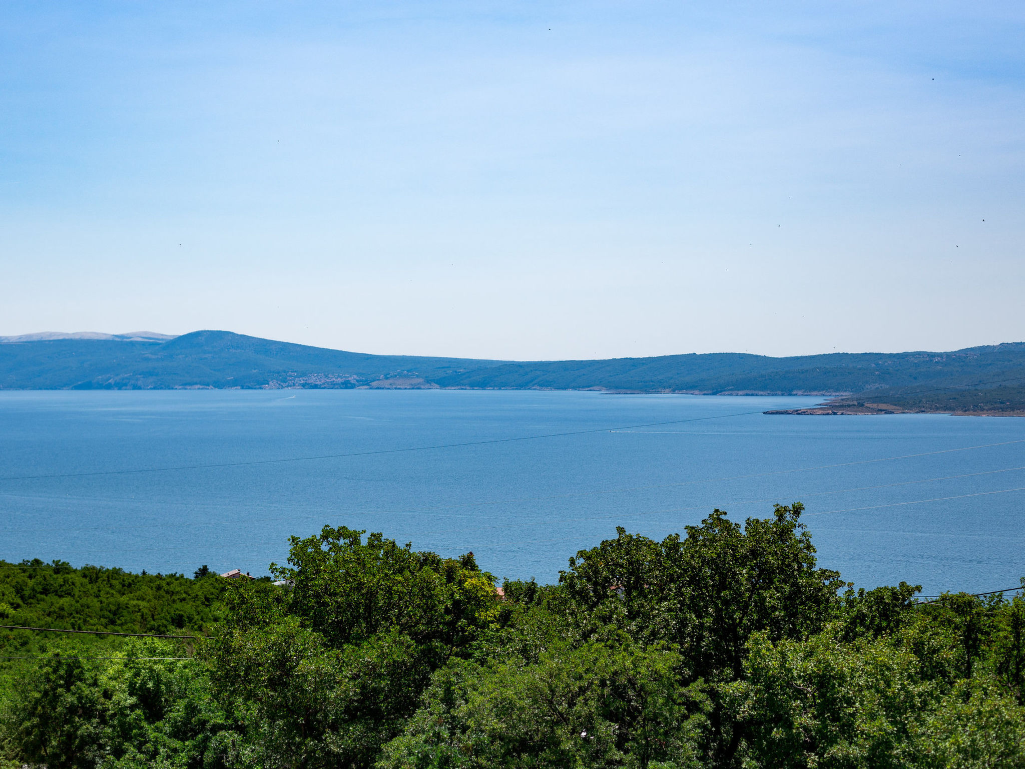 Photo of BRISKI / HR-09789-01