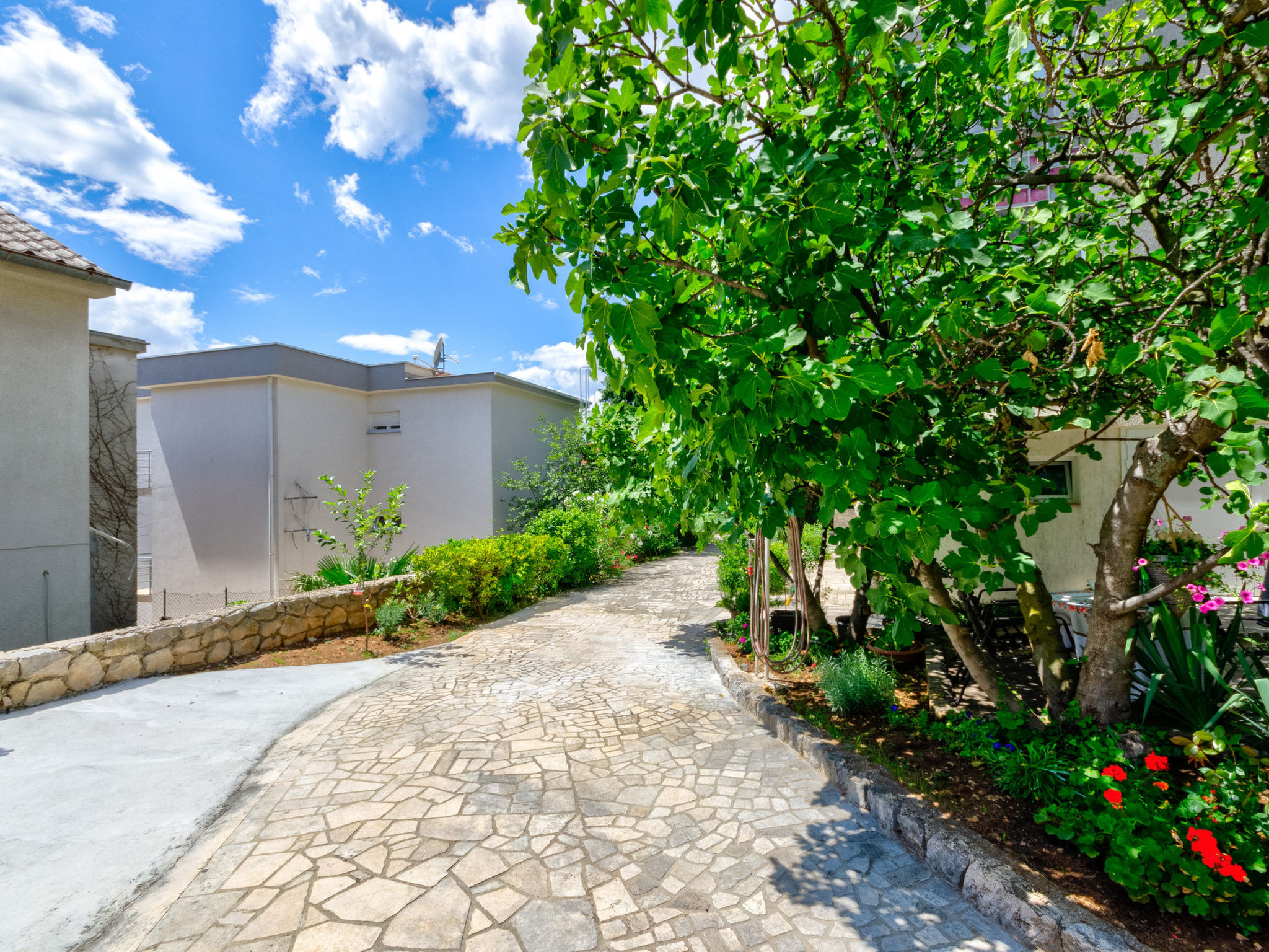 Photo of BENKO 1 / HR-10087-01