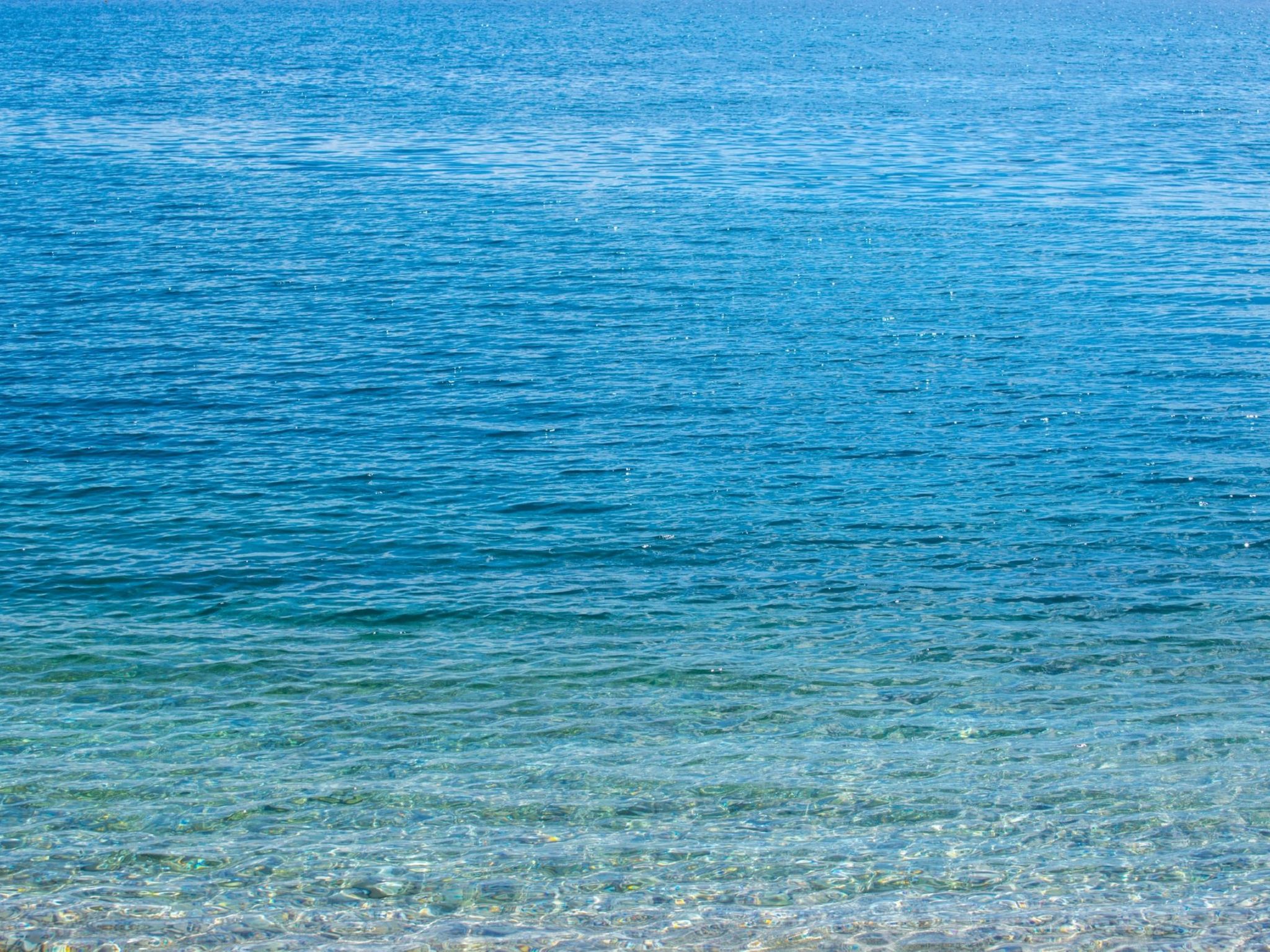 Photo of Nena / HR-10493-01