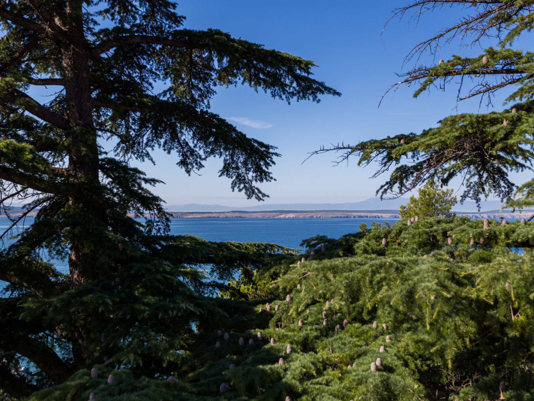 Photo of Villa Maslina - mali / HR-02470-02