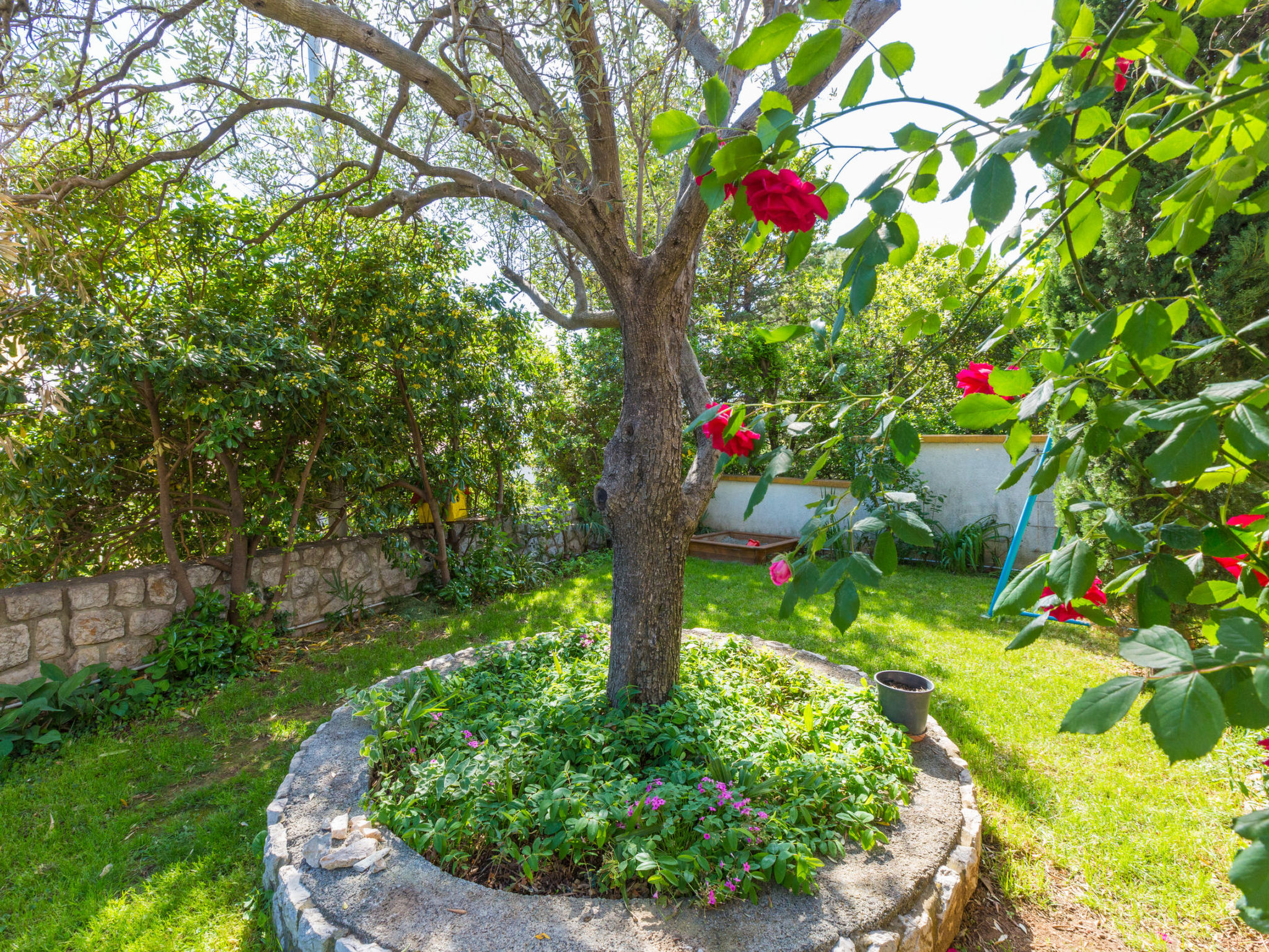 Photo of AKELAVA 5 / HR-05548-05