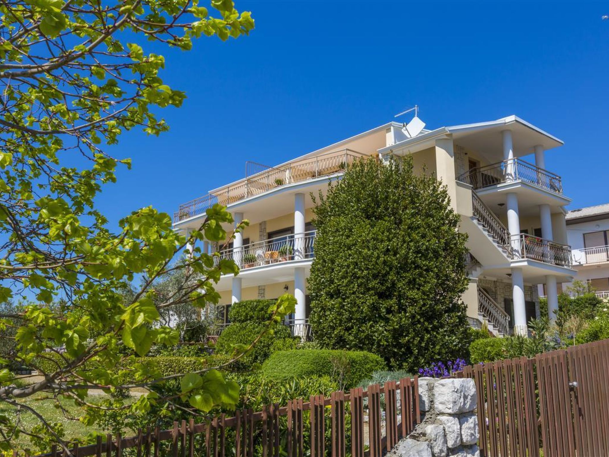 Photo of JANJA / HR-10046-01