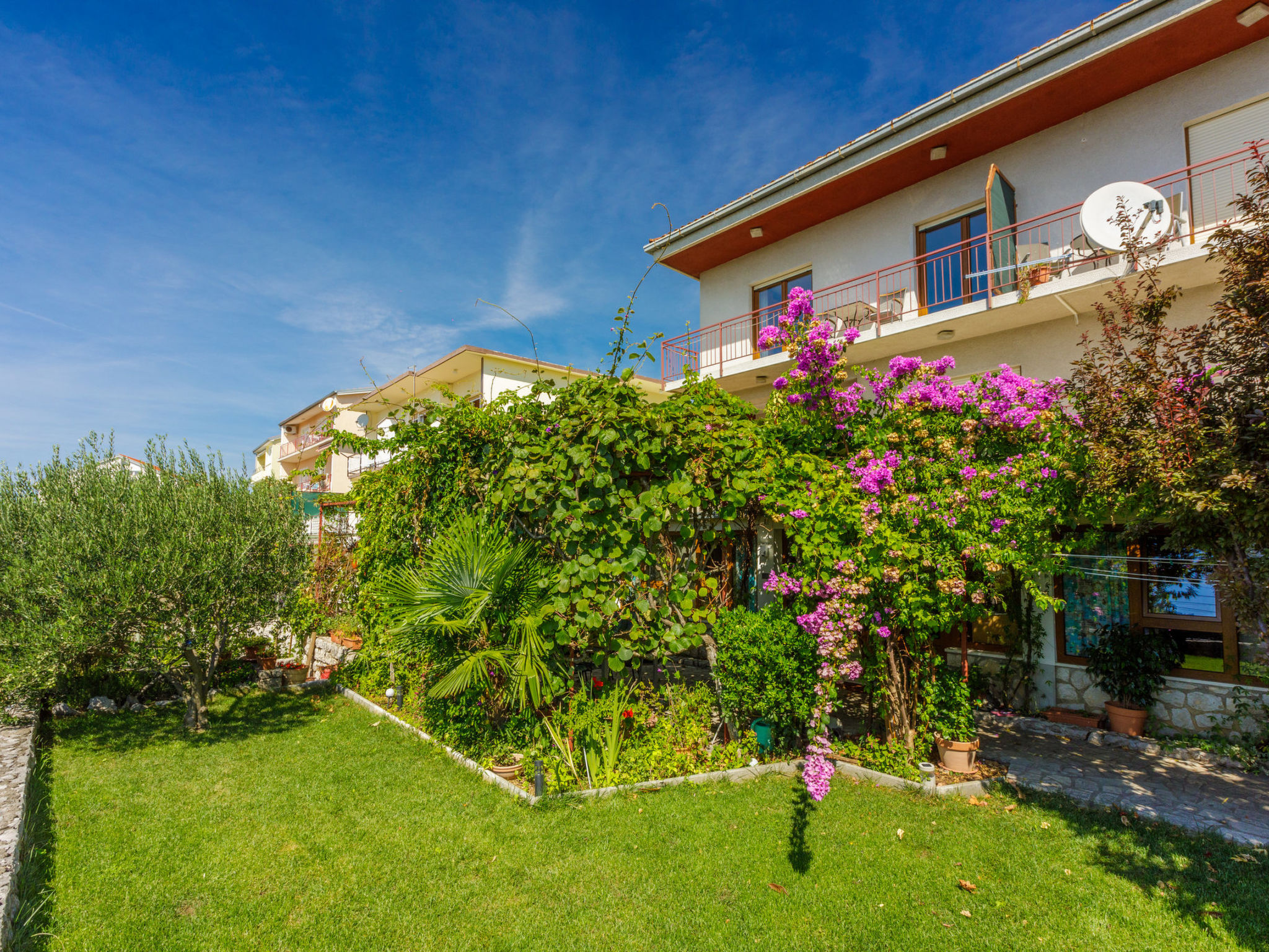 Photo of BUBA Nona / HR-08082-01