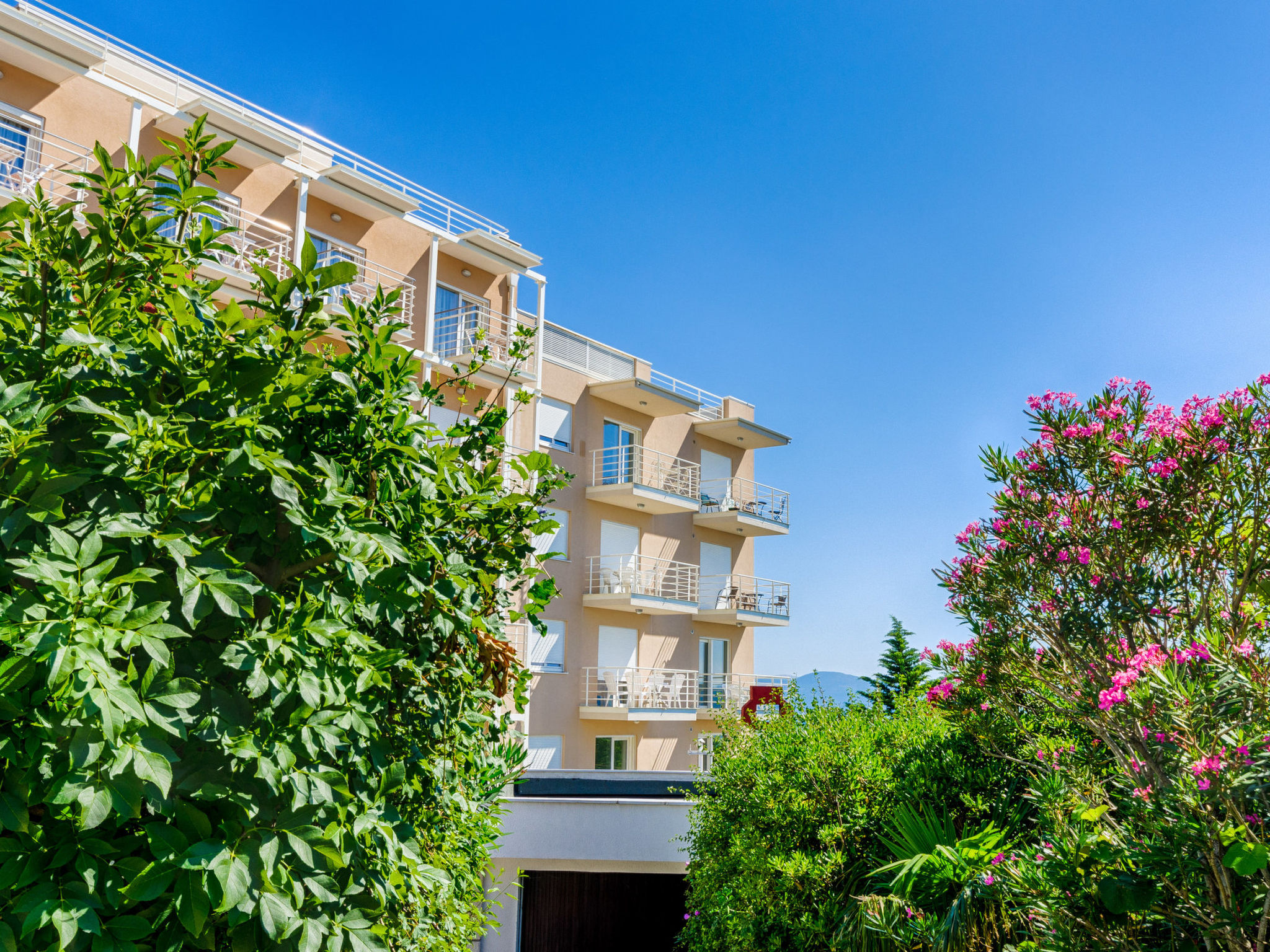 Photo of Amy / HR-09948-01