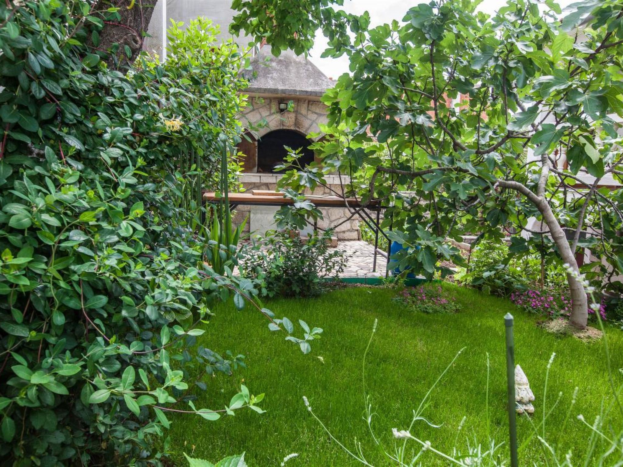 Photo of MARKO  / HR-04294-01