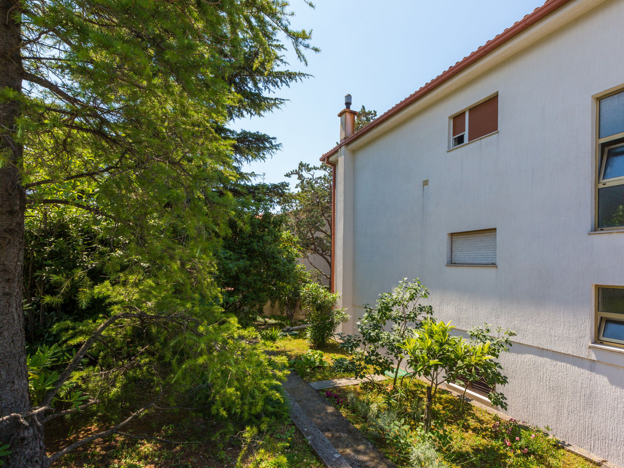 Photo of BELA 1 / HR-03564-01