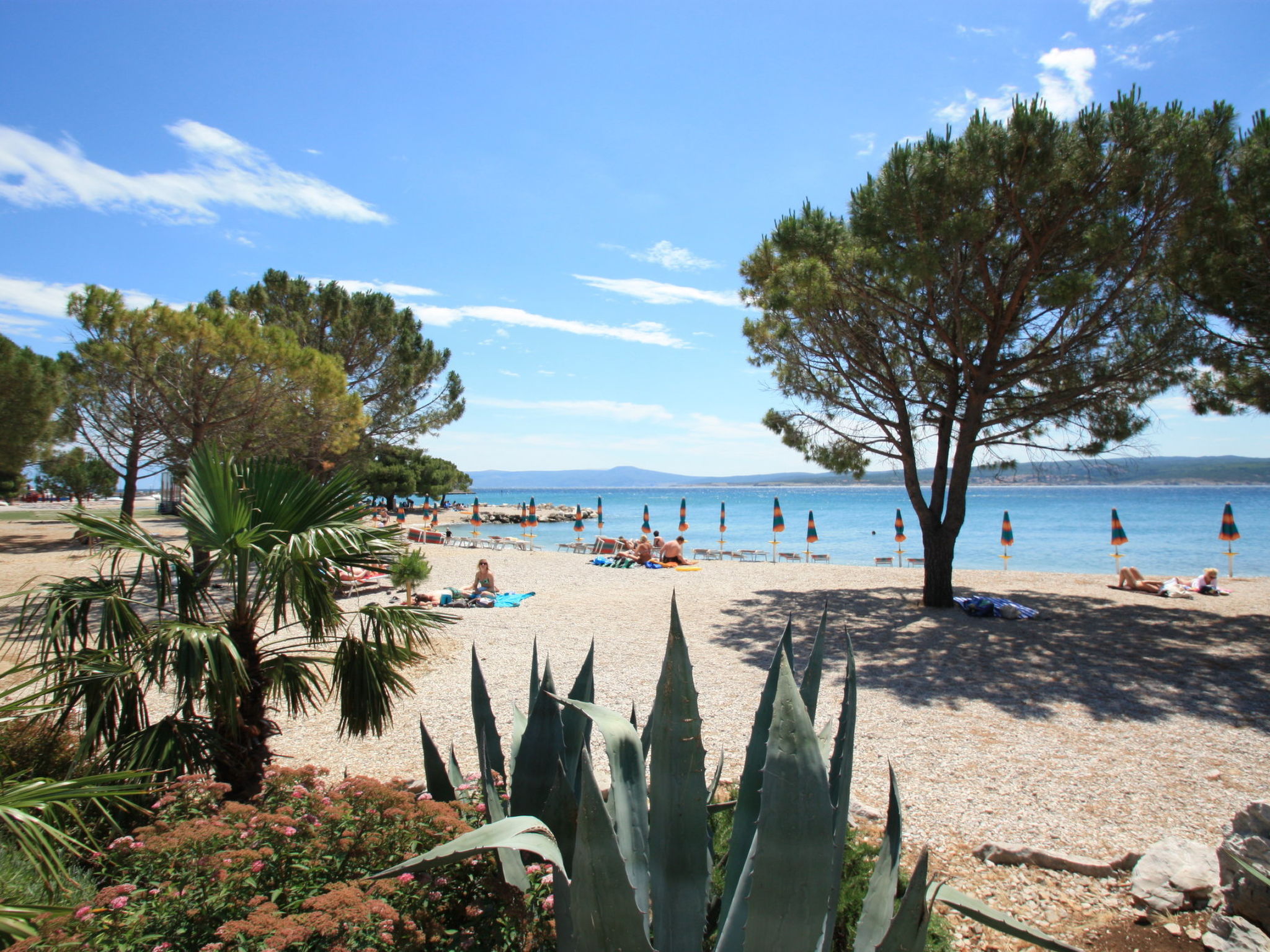 Photo of RUZICA / HR-10600-01