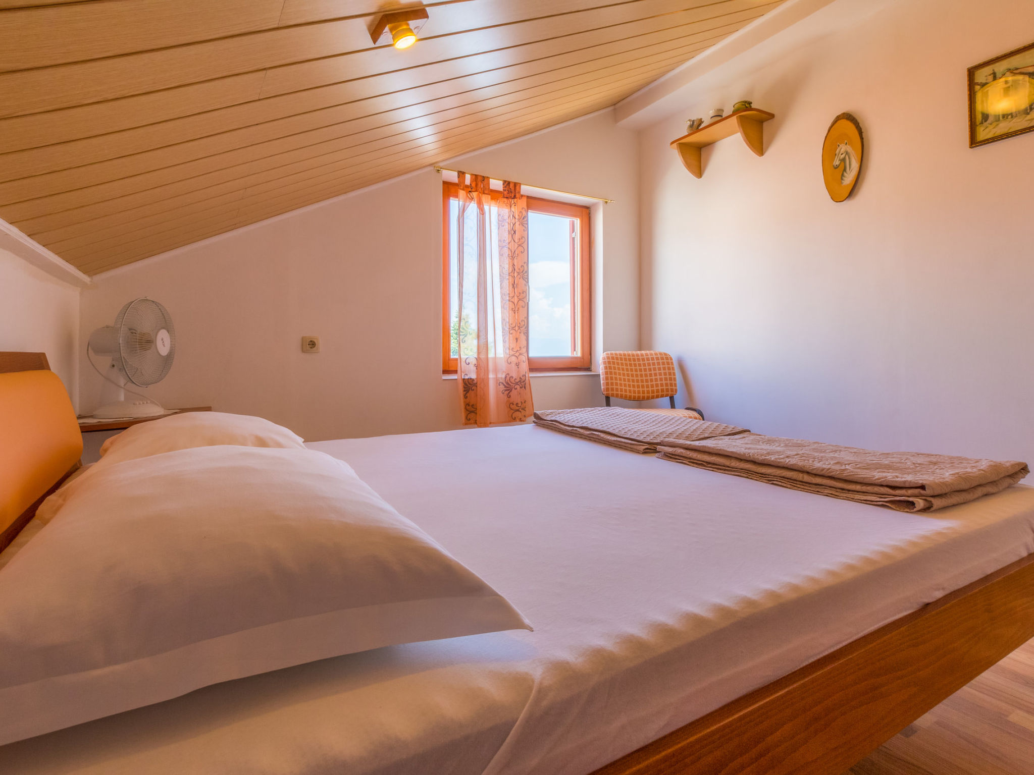 Photo of CLEMENTINA 1 / HR-05523-01