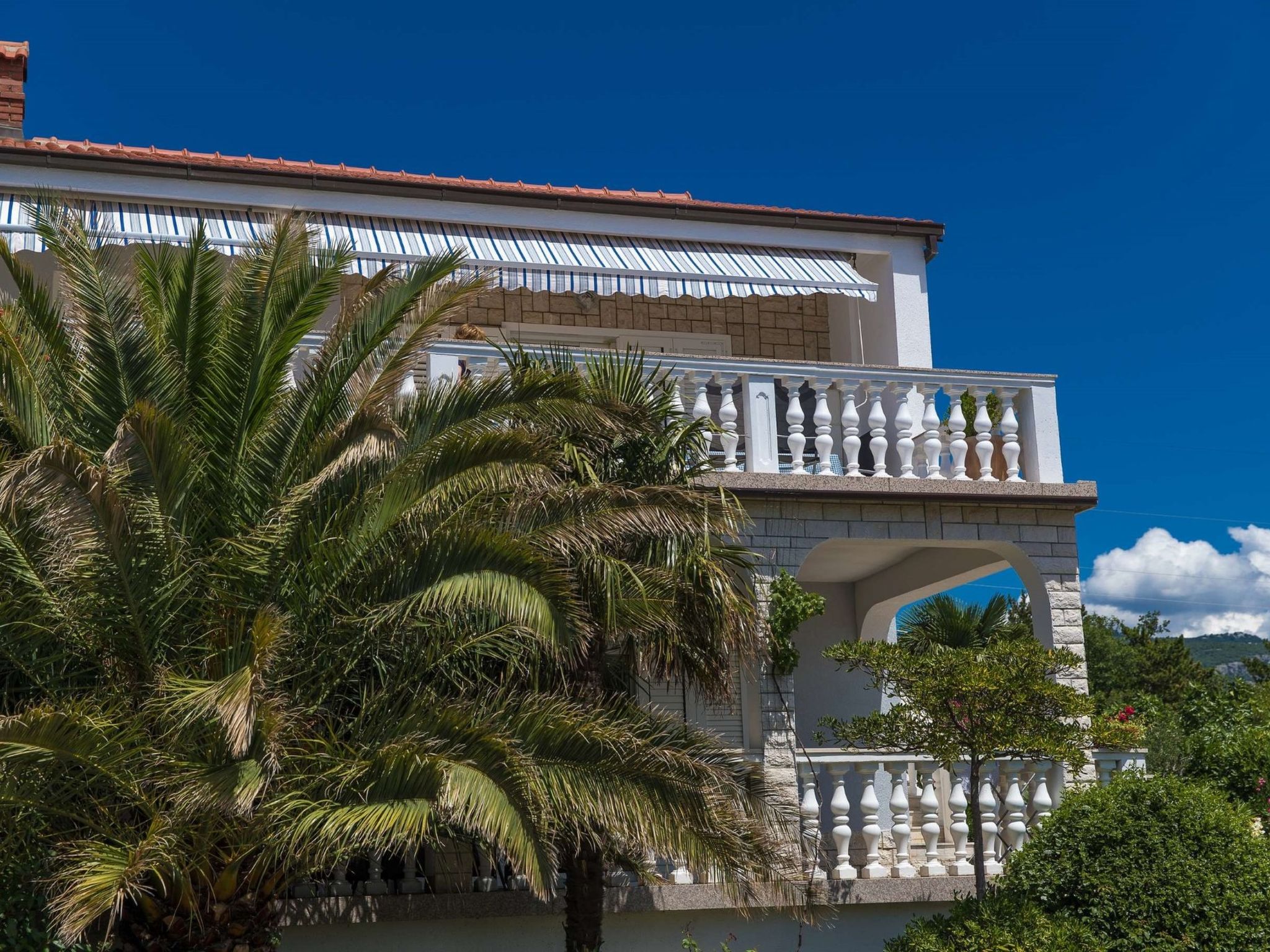 Photo of ZDENKA / HR-10422-01