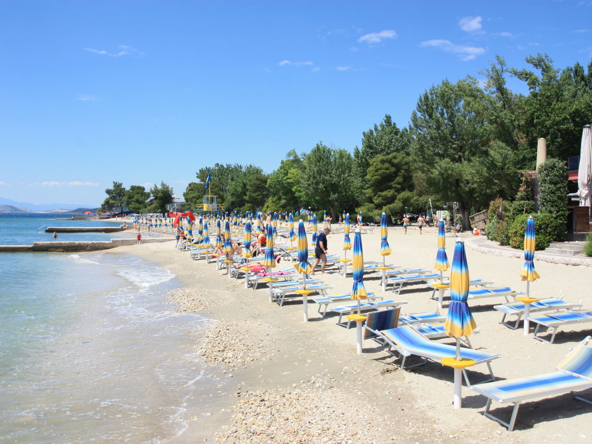 Photo of ARBORETUM 3 / HR-09911-01