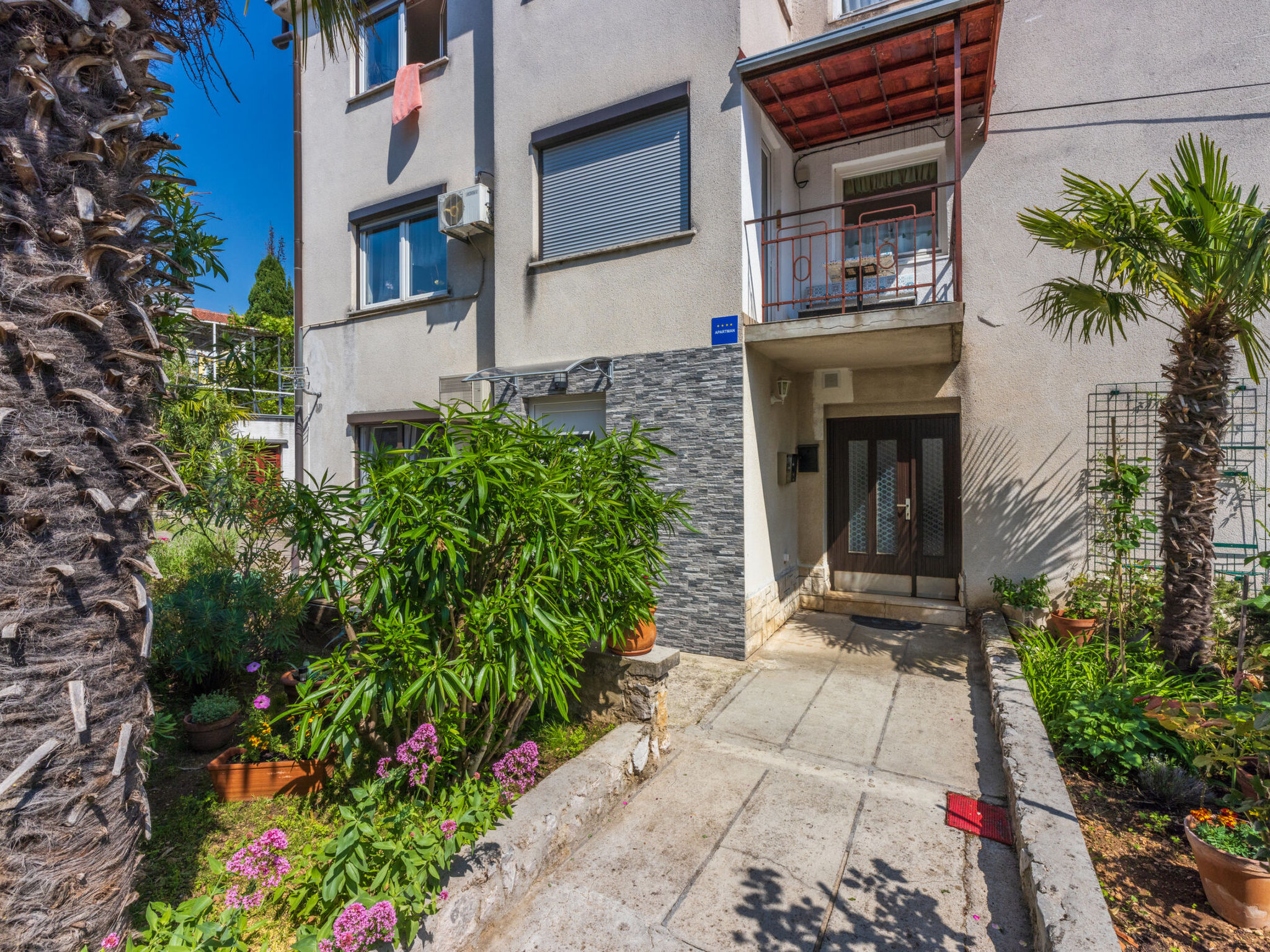 Photo of Nika / HR-11111-01