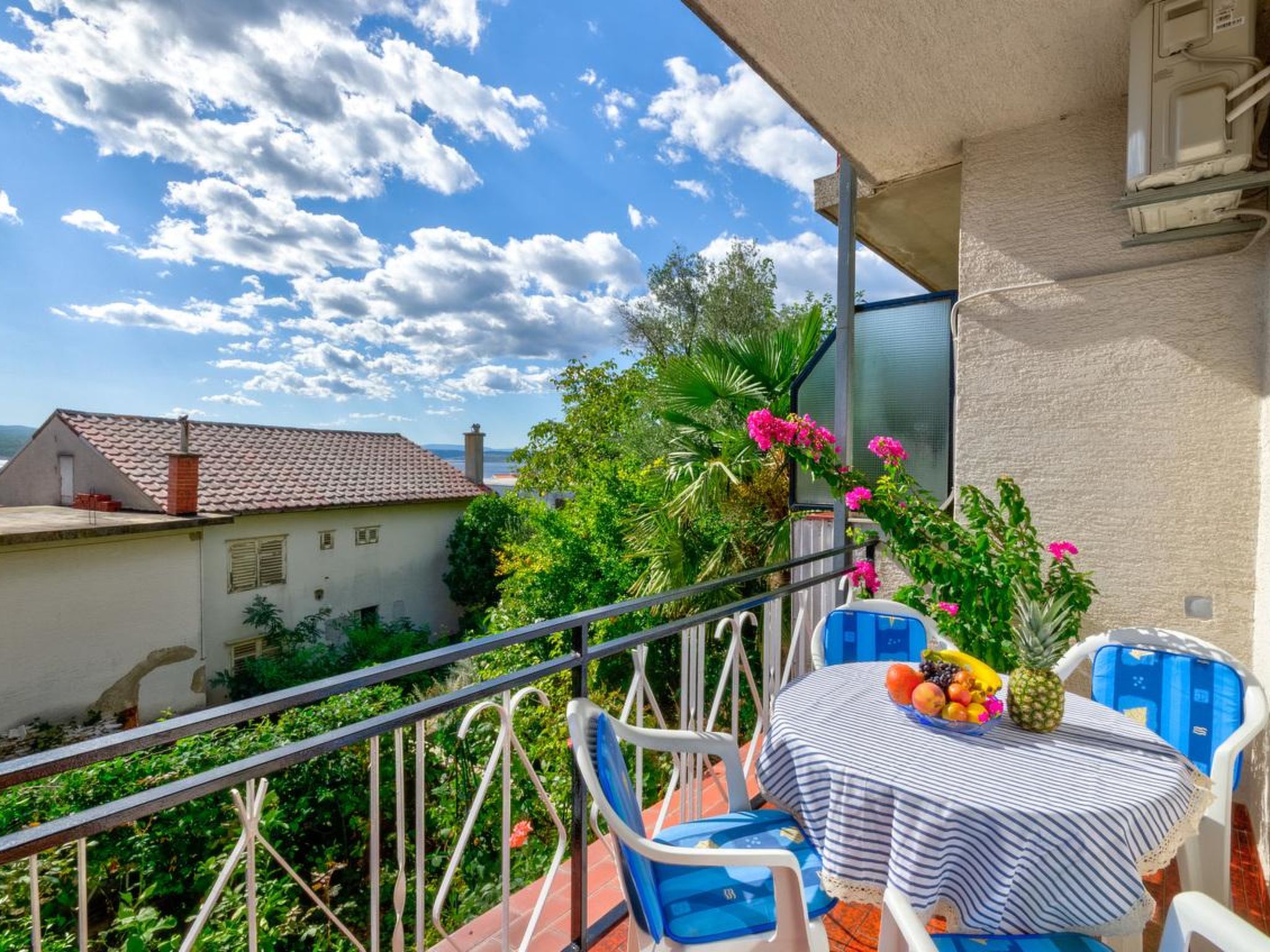 Photo of Smiljka 1 / HR-09436-01