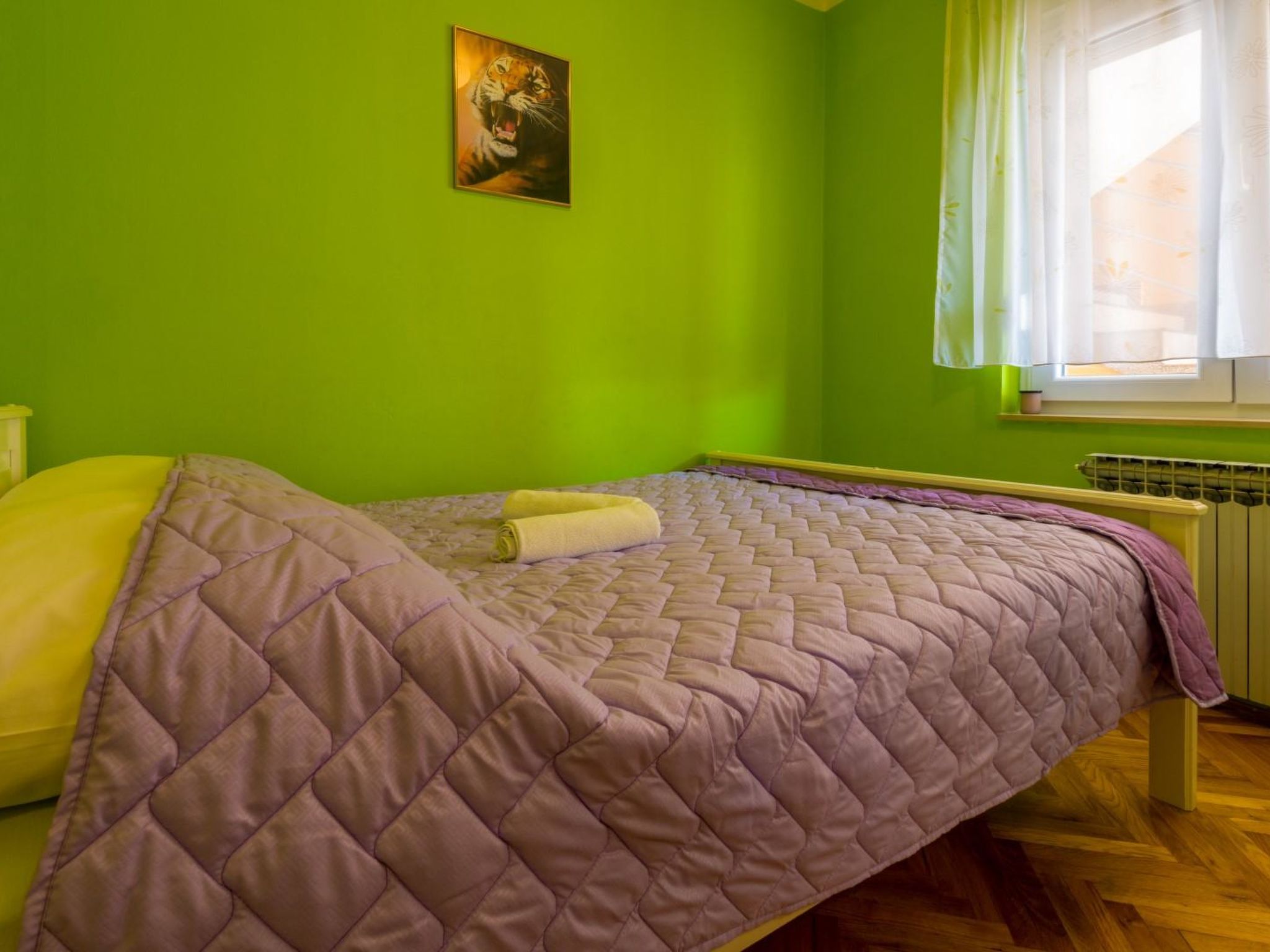 Photo of VUKIC Lovre / HR-02477-01