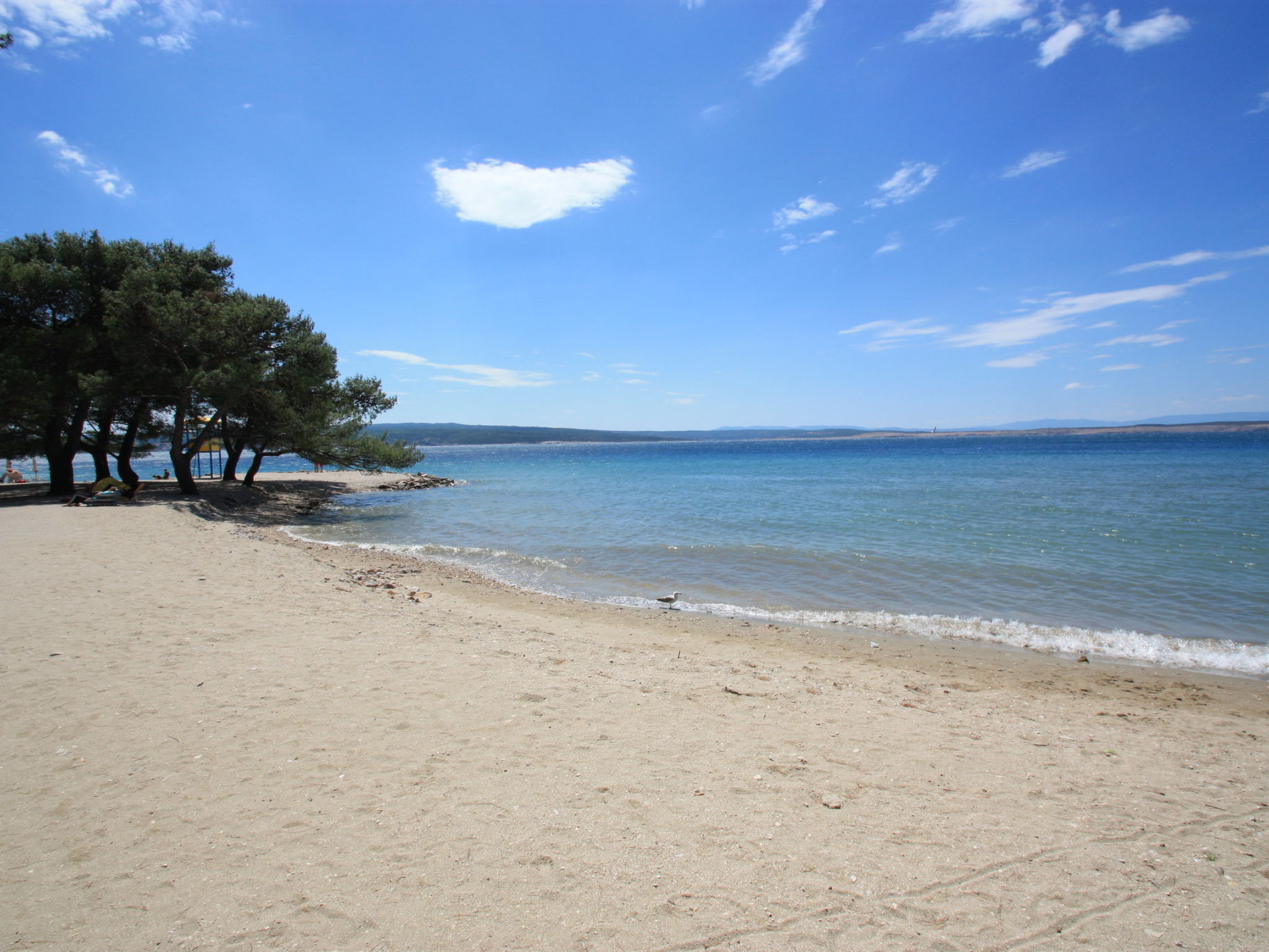 Photo of ARBORETUM 2 / HR-09911-04