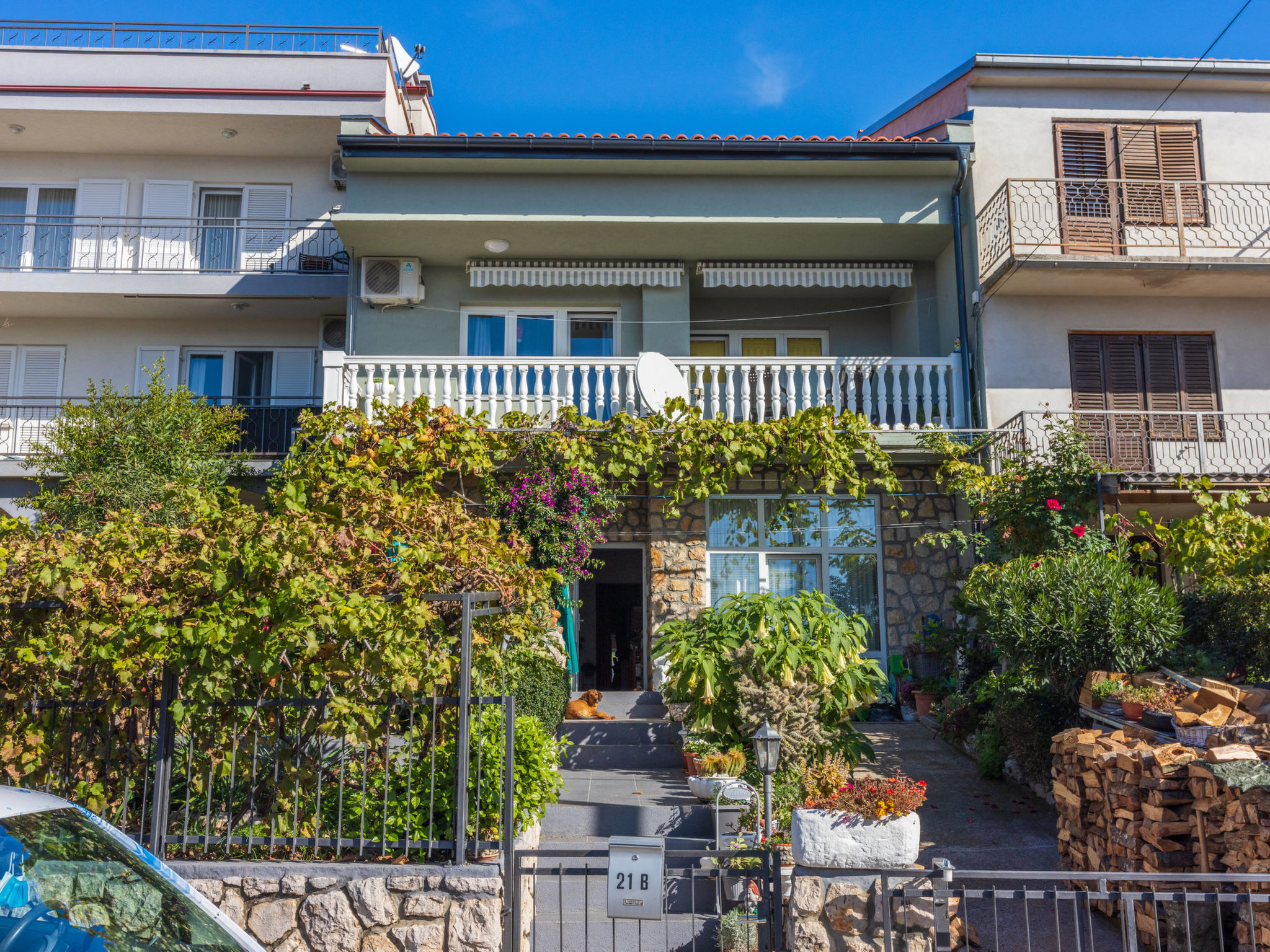 Photo of PCELICA MAJA / HR-09980-01