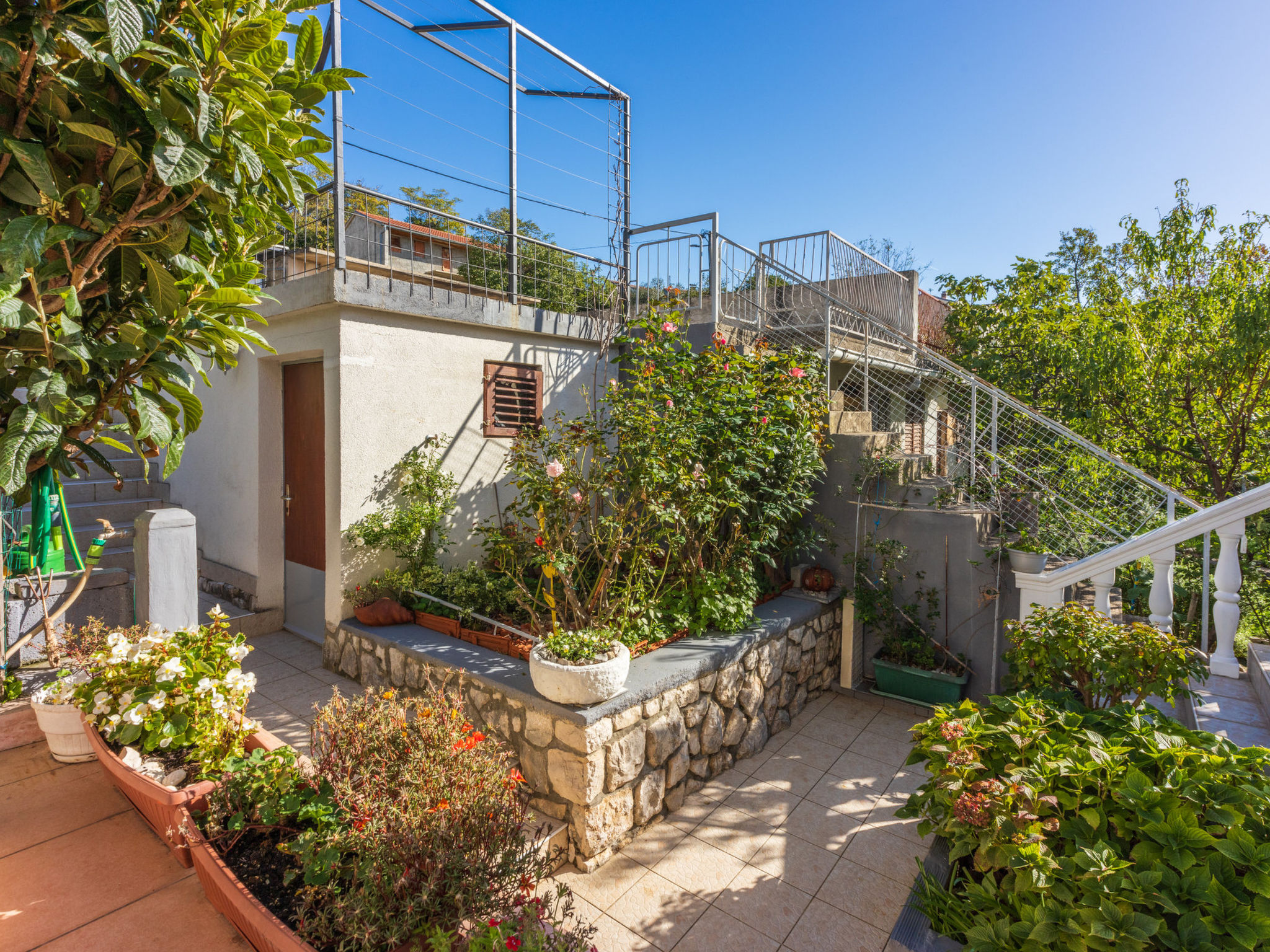 Photo of PCELICA MAJA / HR-09980-01