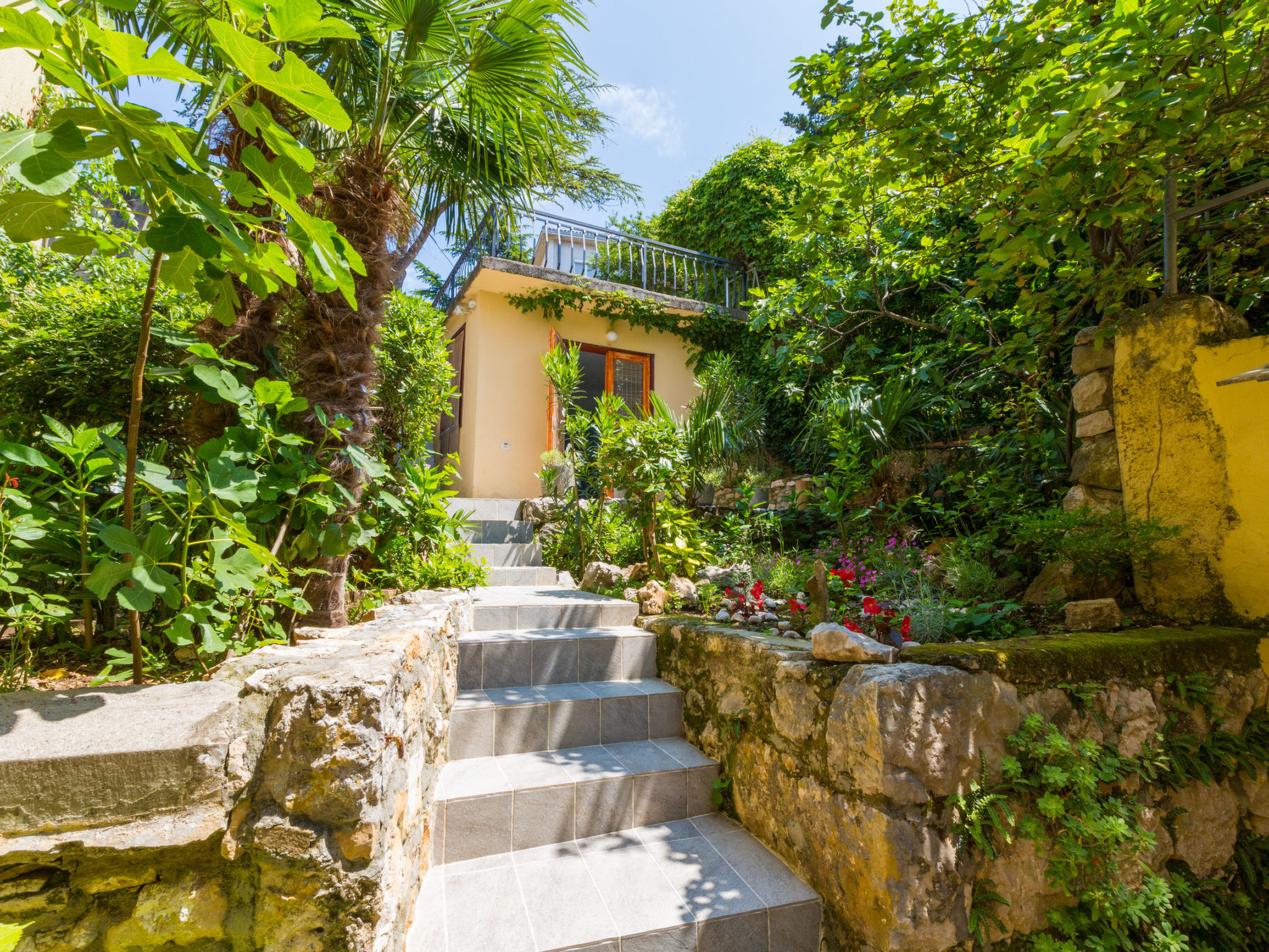Haus Ivy / HR-08510-01