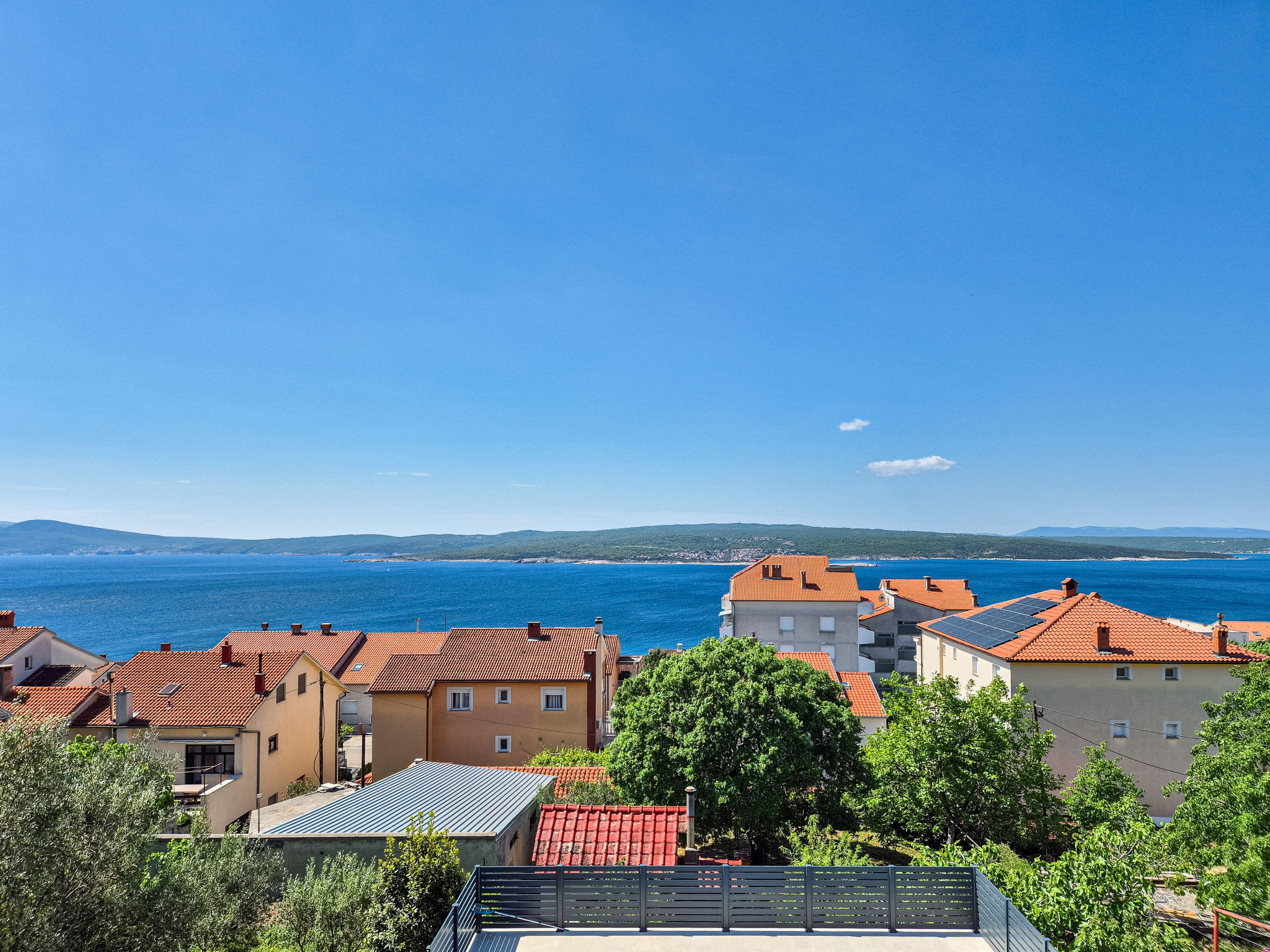 Photo of Damjan