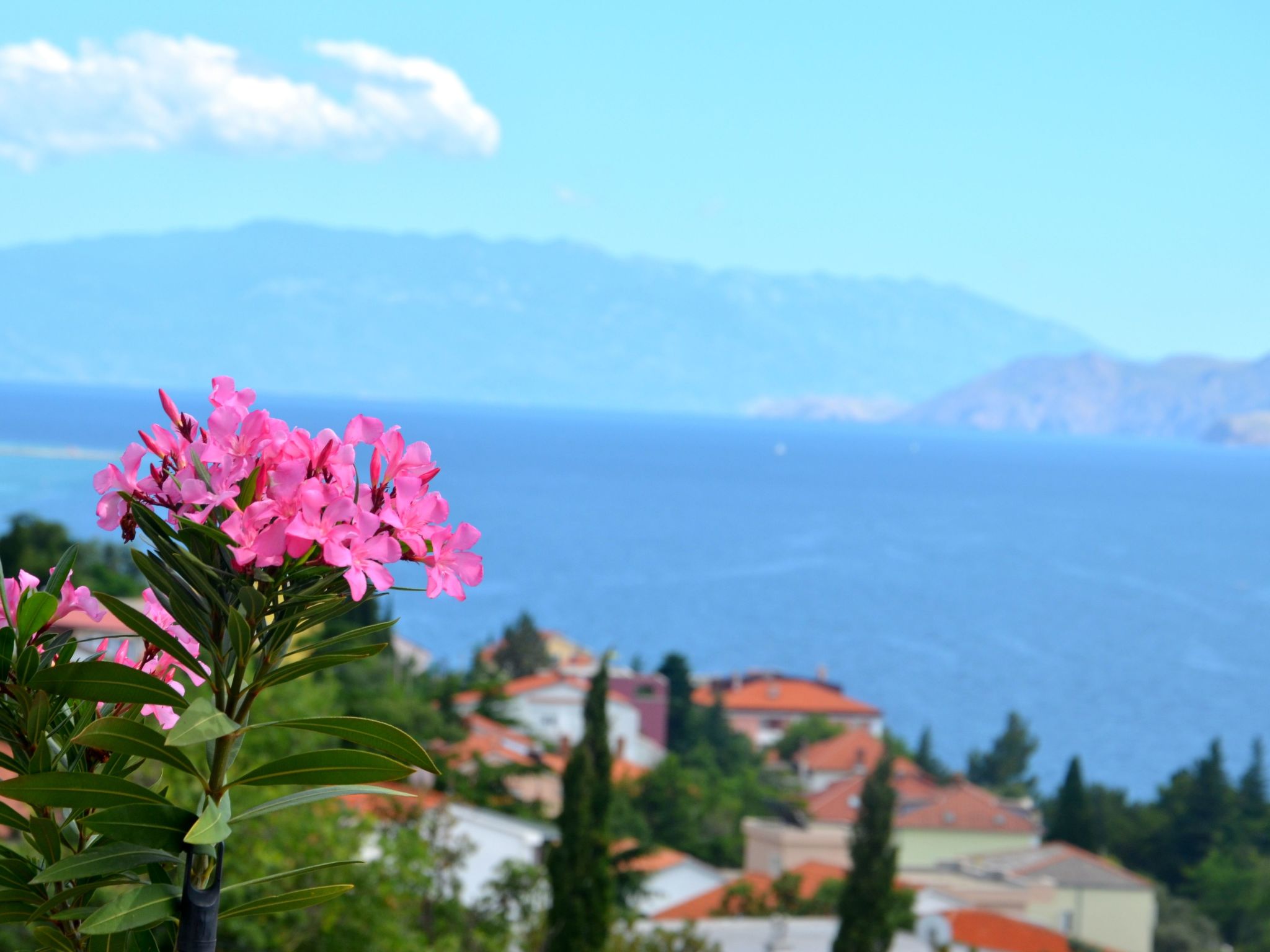 Bella Vista in der obersten Etage-Image-tags.info