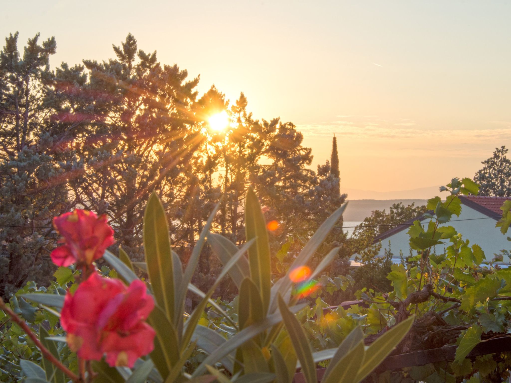 Schöne Erdgeschosswohnung mit Sonnenterrasse-Image-tags.info