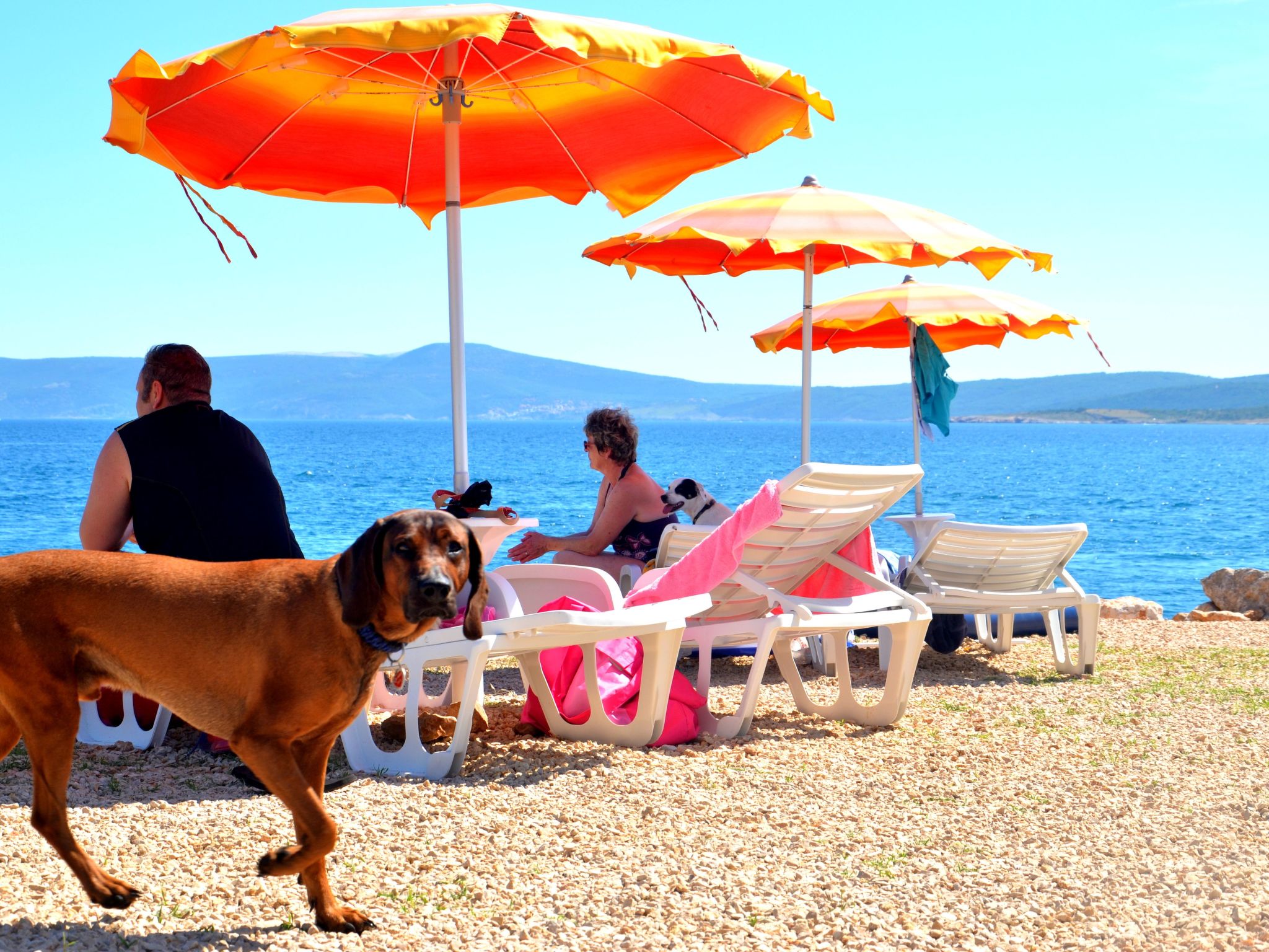 Schöne Erdgeschosswohnung mit Sonnenterrasse-Image-tags.info