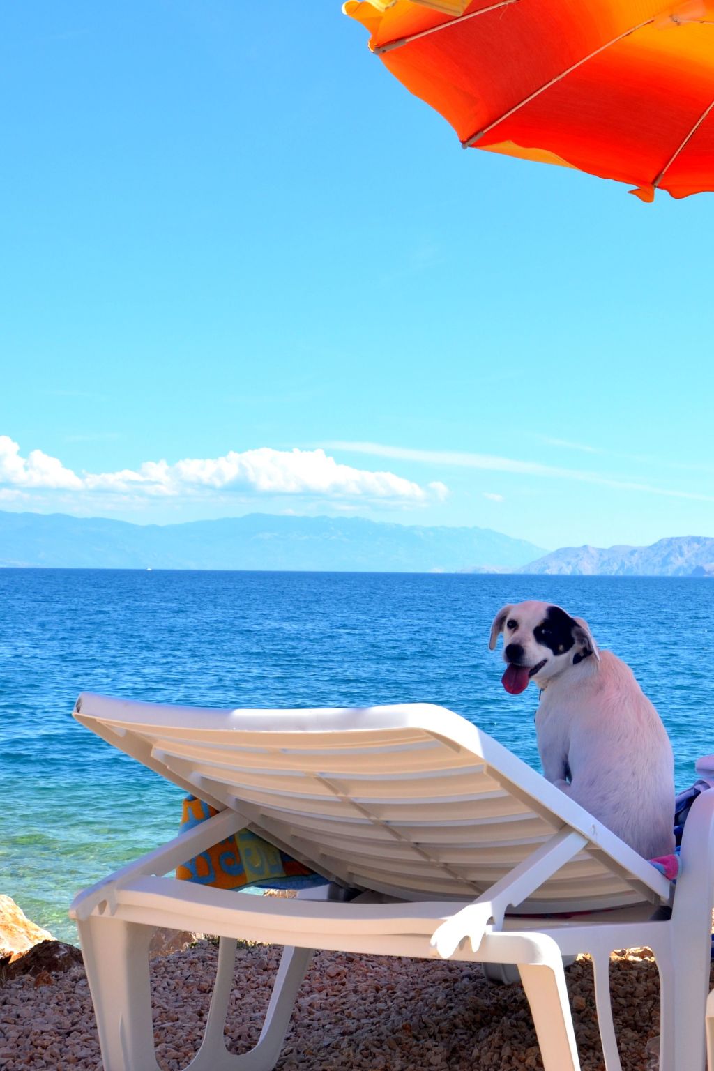 Schöne Erdgeschosswohnung mit Sonnenterrasse-Image-tags.info