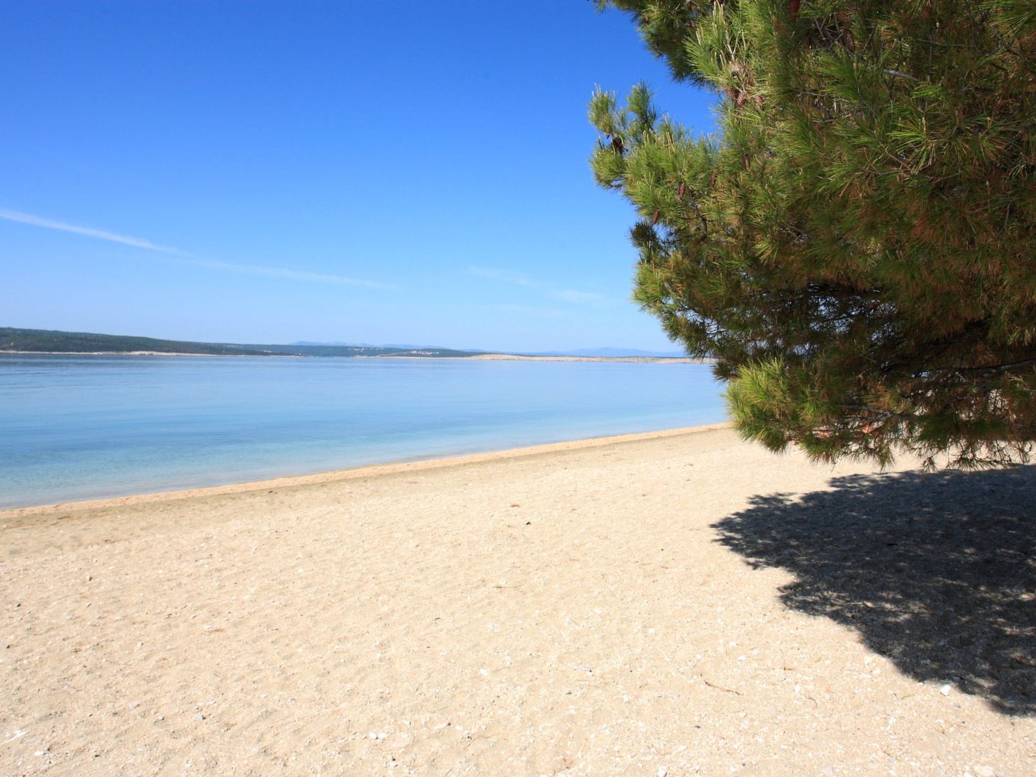 Schöne Erdgeschosswohnung mit Sonnenterrasse-Image-tags.info