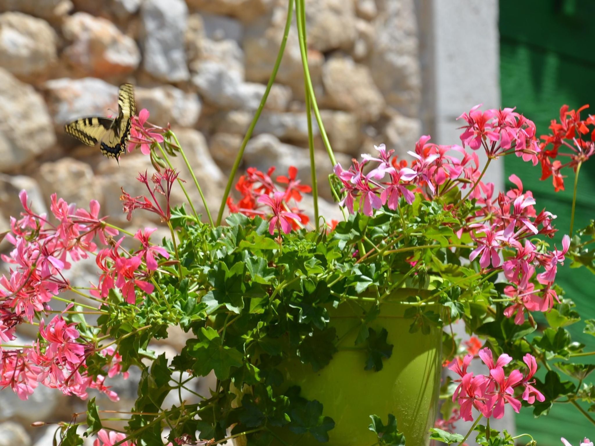 Großes Ferienhaus mit eigenem Pool und Terrasse-Binnen