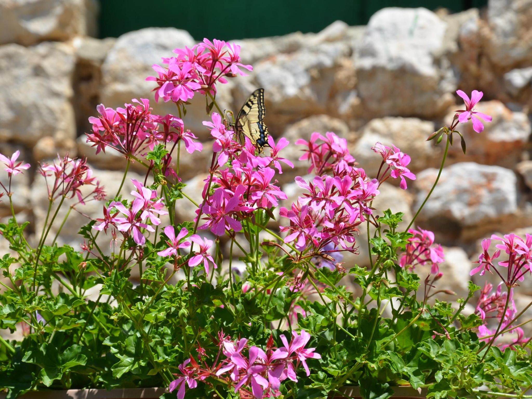 Großes Ferienhaus mit eigenem Pool und Terrasse-Binnen