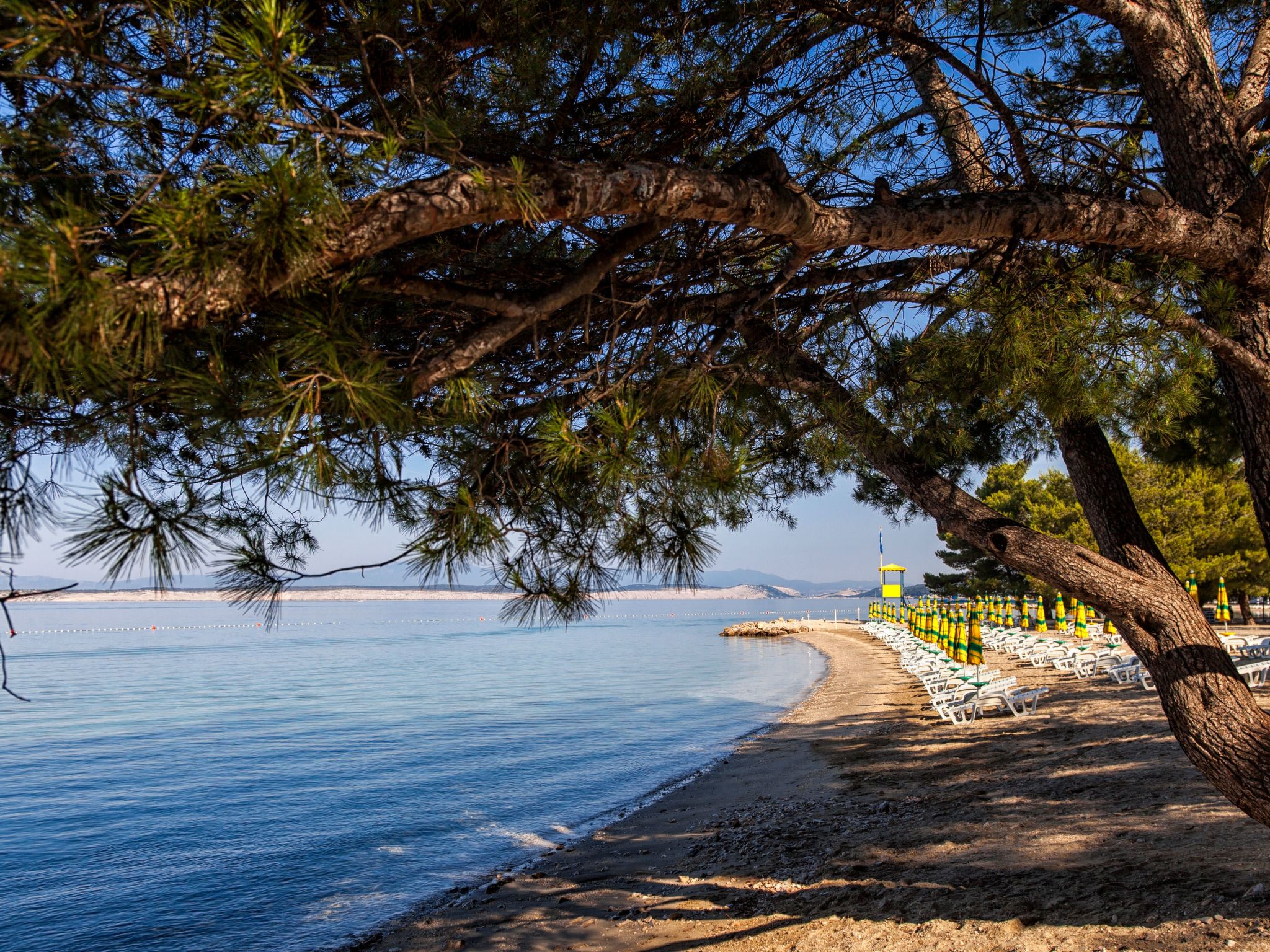 Appartement für 2-3 Personen mit Balkon-Binnen