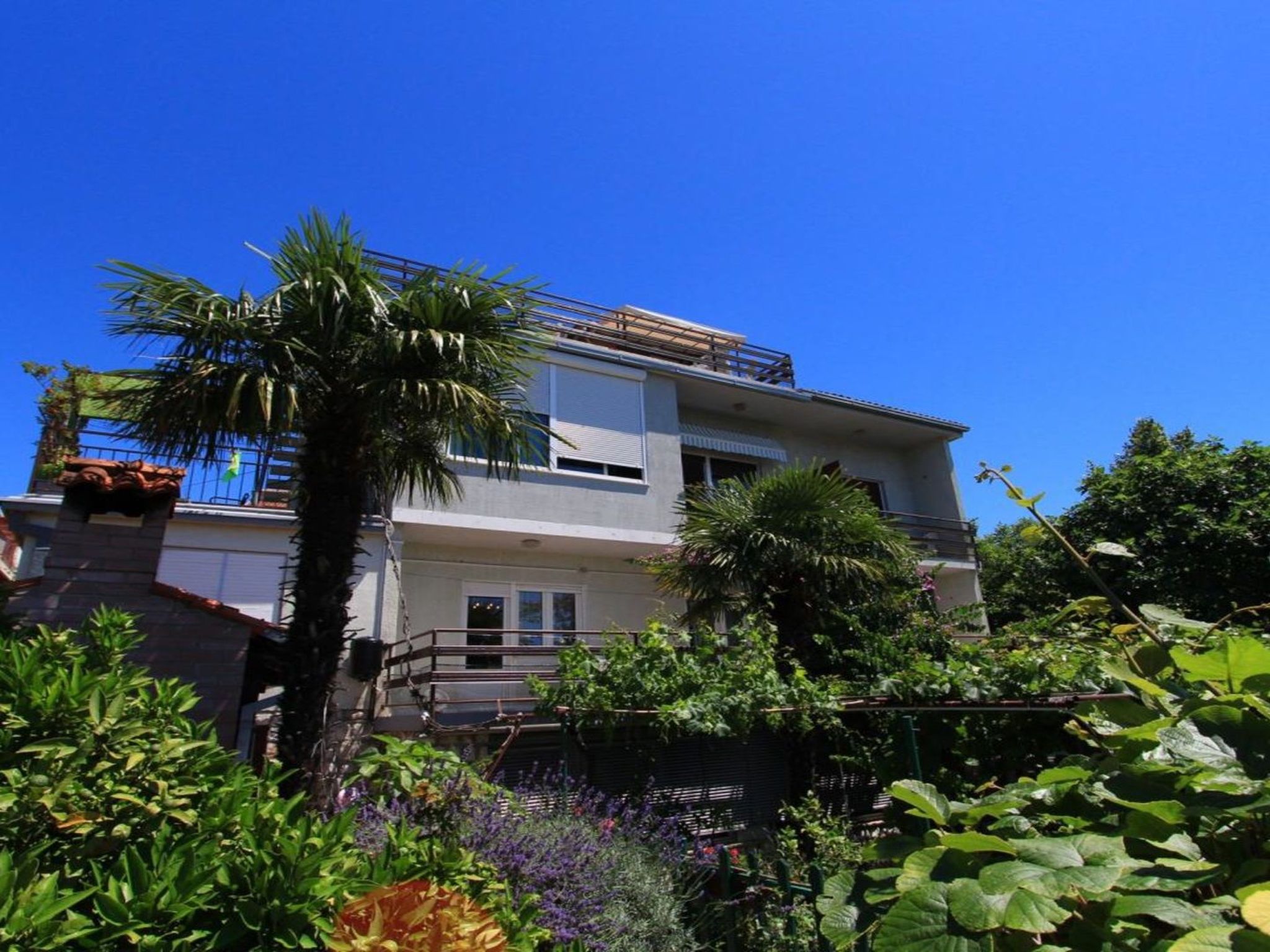 Wohnung App Marinna mit Terrasse-Drinnen